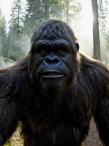 빅풋 비디오 만들기