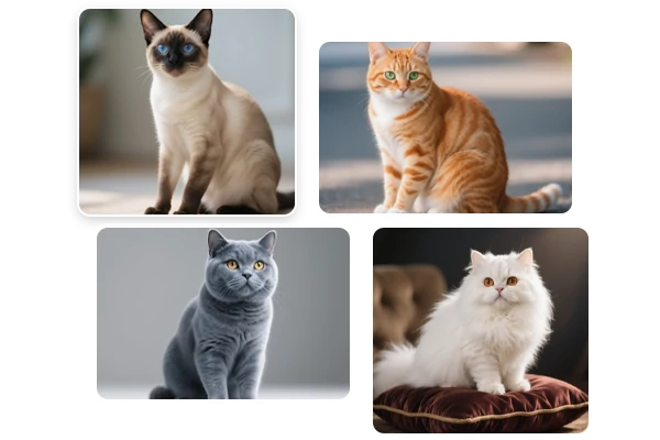 Imagens de gatos em diversos estilos geradas por IA