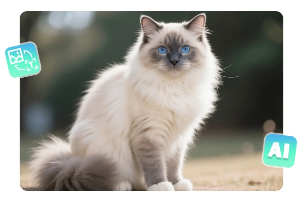 Foto de gato com IA a partir de texto