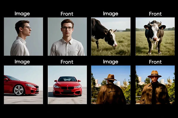Image Editing in Novel View Synthesis