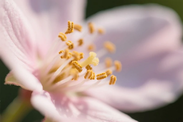 Imagen de alta calidad generada por IA con Wan 2.5