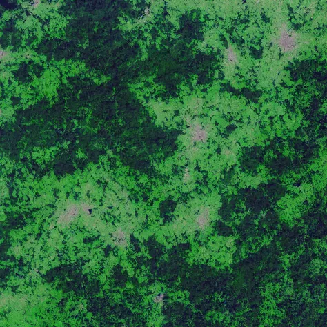 MapSatimageEU, forest