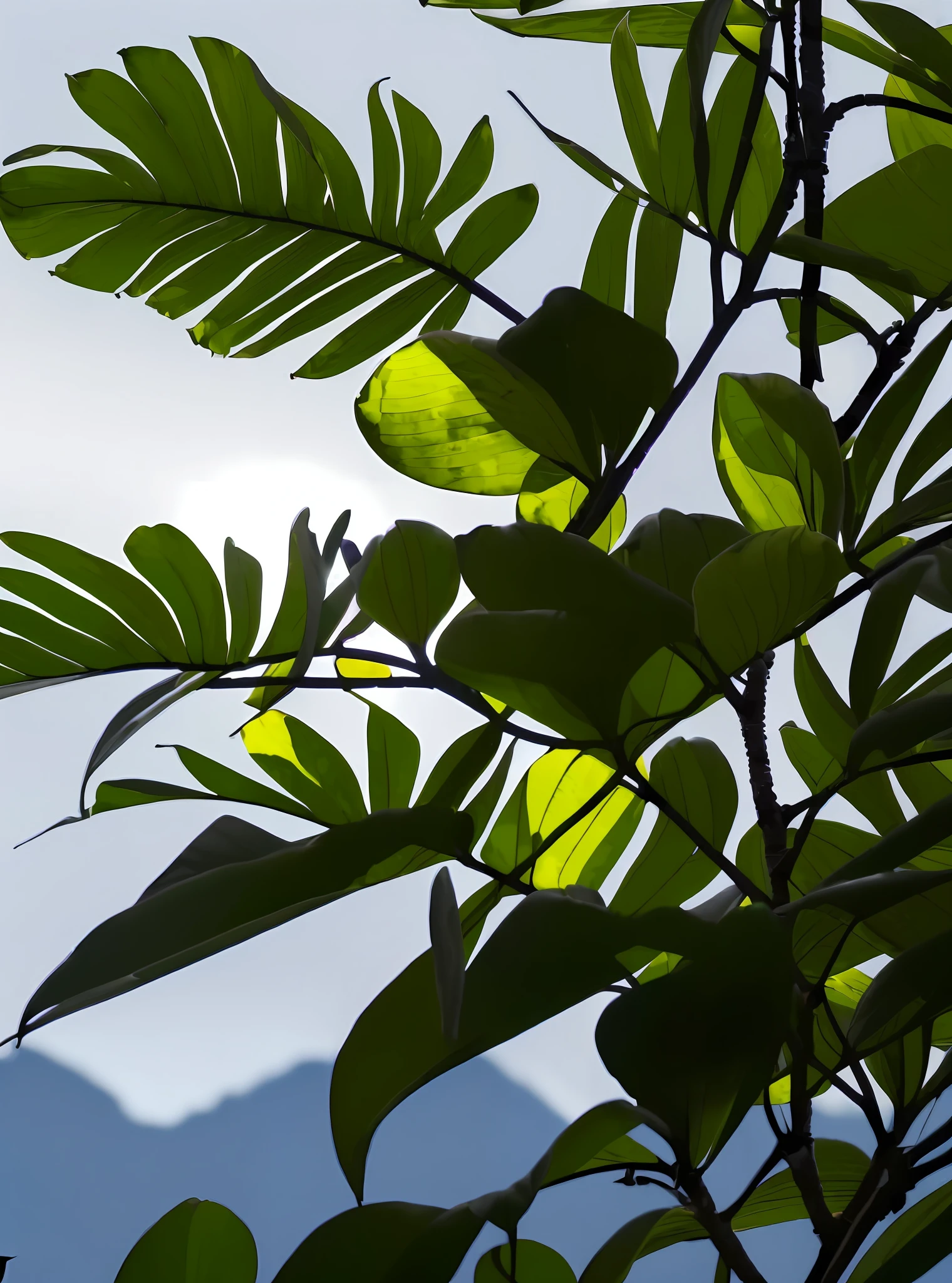 ((flat painting style, blank background, various tropical plants in the lower right corner, low-saturated dark purple-blue edge, low saturation)), (sunlight hits low-saturated blue-green plantain leaves from the upper left corner, bird&#39;s nest fern, attached Green orchid and purple-red Jishui pineapple, light-receiving surface of the plant is bright yellow and white, and the shadow is blue-gray), (plane wide angle, elegant tone, soft color, photography light and shadow sense),