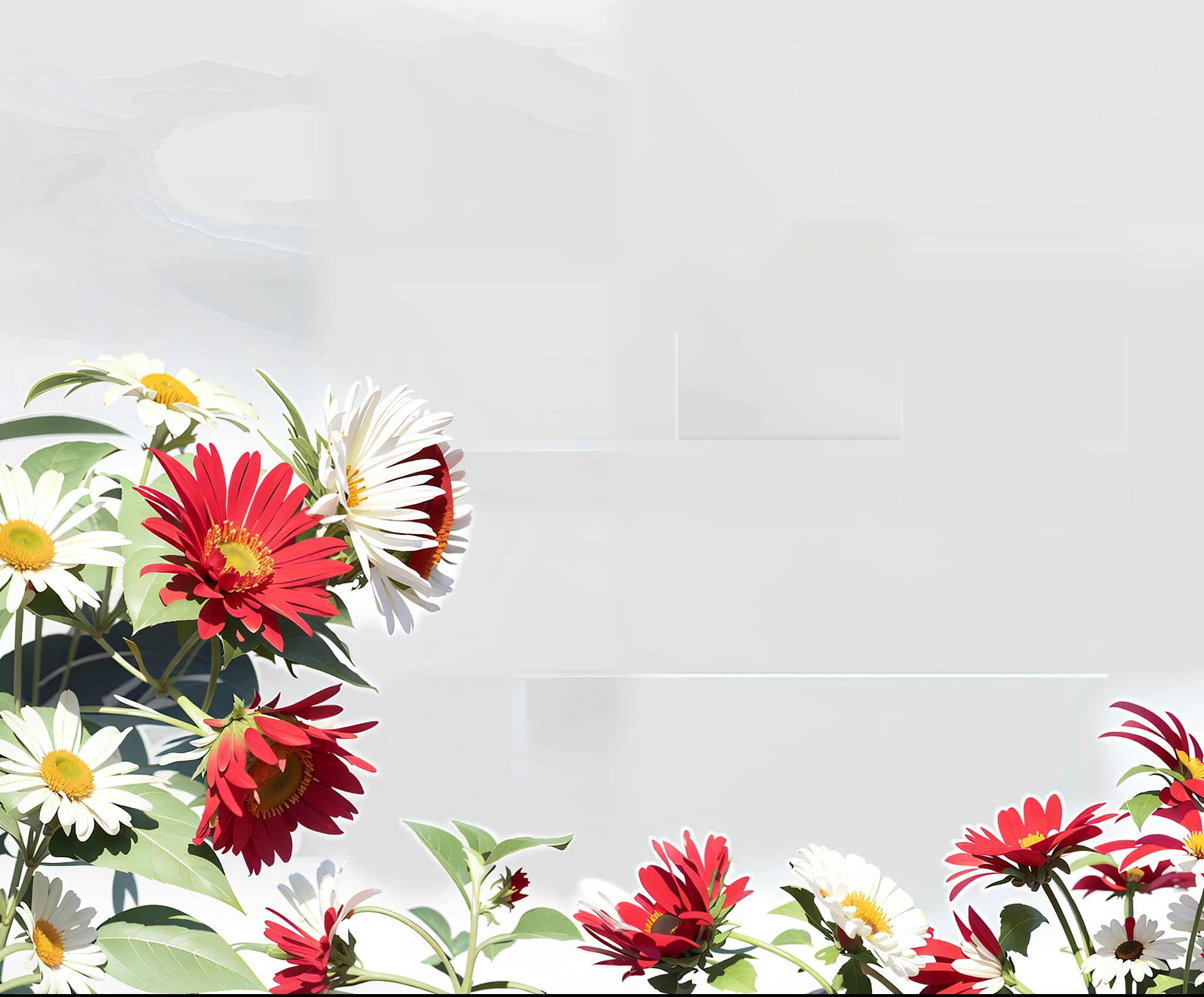 a white and red flower border with a white background, celestial red flowers vibe, red and white flowers, white border and background, fine background proportionate, extremely high resolution, background image, plain background, flower background, isolated background, flowers in background, high definition background, flowers background, large white border, red and white color theme, red flowers, detailed background