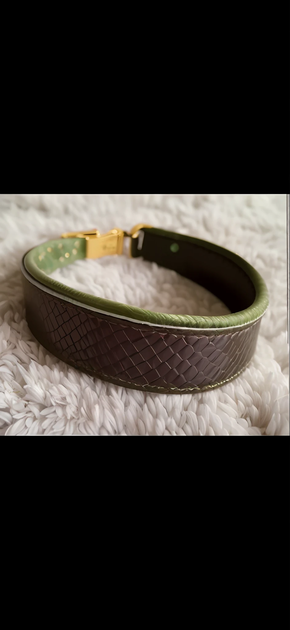 collar for dogs green snake skin embroidered with sufficient decoration on a black background material, create sample pictures for products in various designs 8 to 10 possible versions