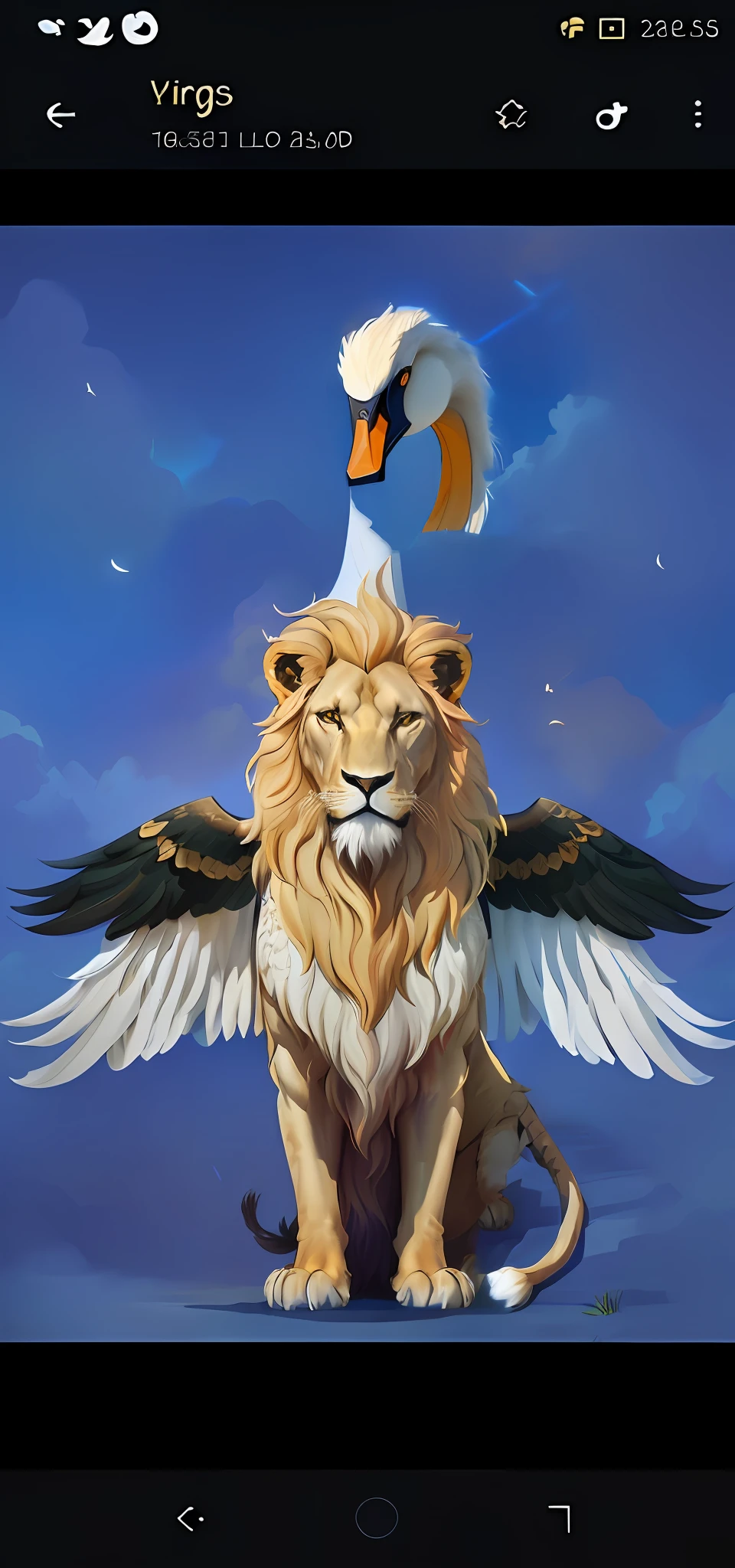 Lion's Tail.