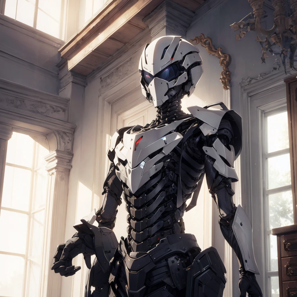 Model of exoskeleton armor, placed in a gift box, mansion room