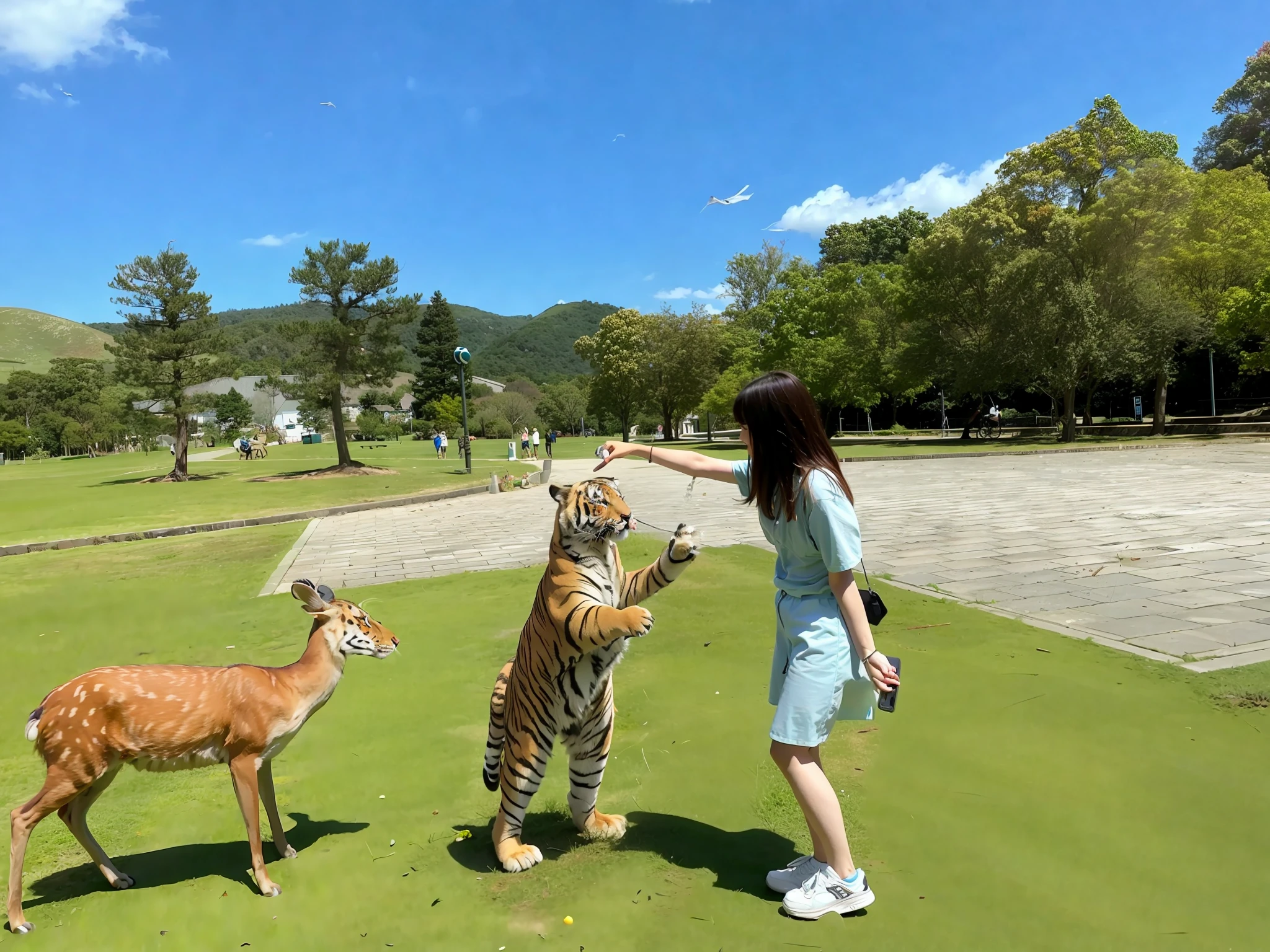A tiger is fed