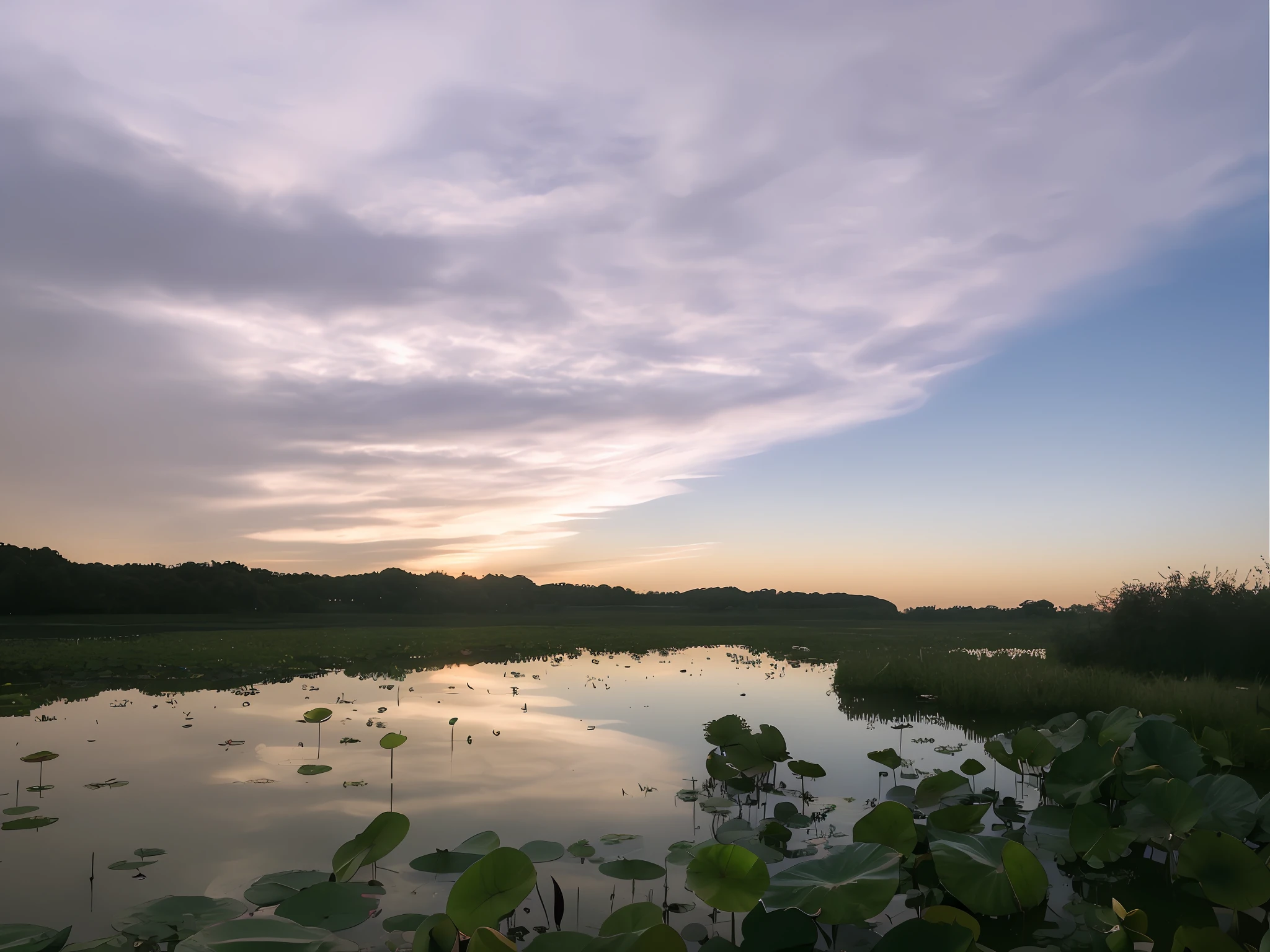 there is a small pond with water lilies in it, located in a swamp at sunrise, taken with sigma 2 0 mm f 1. 4, during sunset, during dawn, taken with canon 5d mk4, at sunrise, during sunrise, taken with sony alpha 9, shot with a canon 20mm lens, evening sunset, beautiful late afternoon