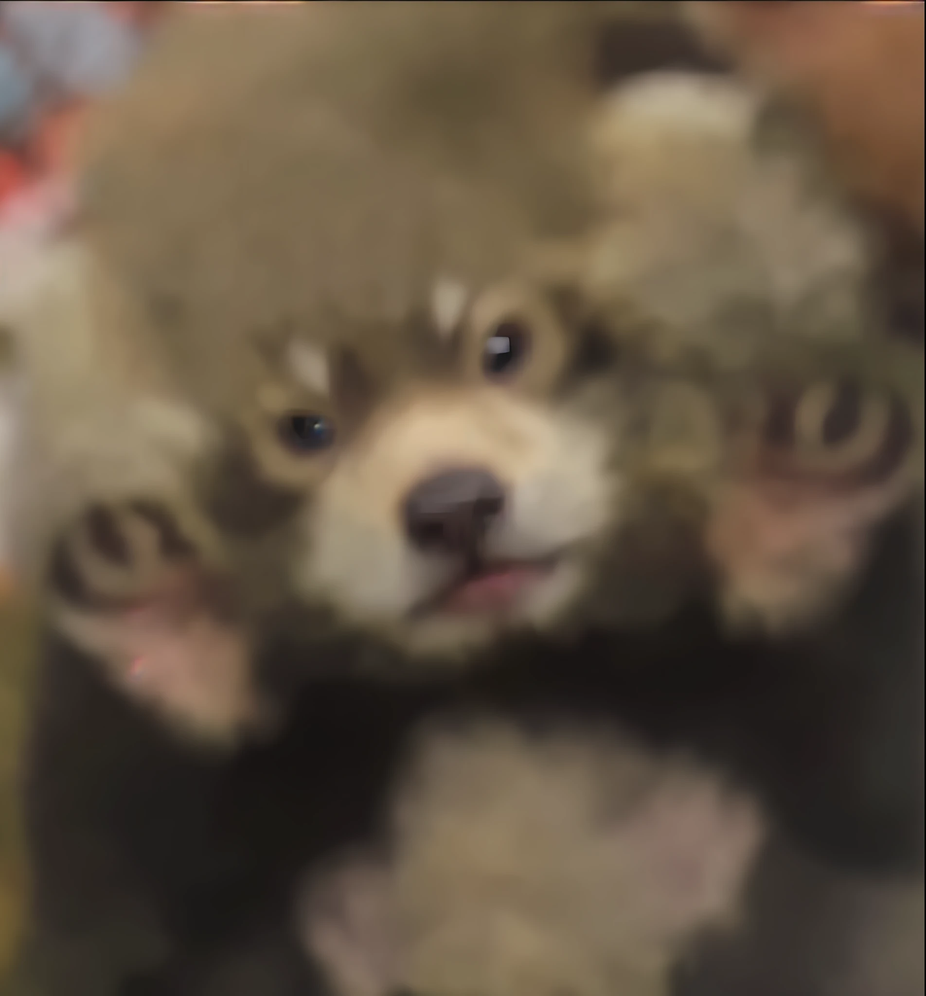 Best quality