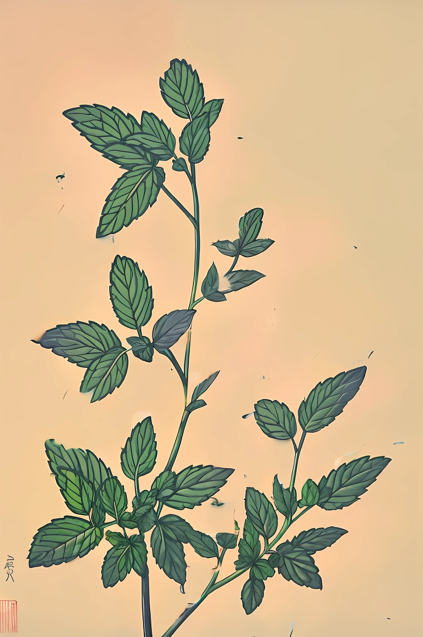 Mint leaves