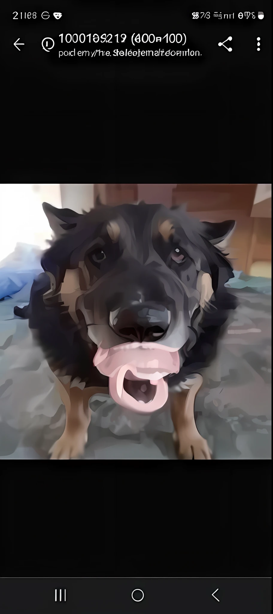 has dog with pacifier in mouth, pink nose, tongue out, he has no nose, tongue out, mouth slightly open, long and pointed pink nose, licking tongue, big tongue, licking, with a very large mouth, closeup. open mouth, with open mouth, r/aww, one nose, happy with open mouth, chewing, black dog, pacifier dog, dog sucking pacifier