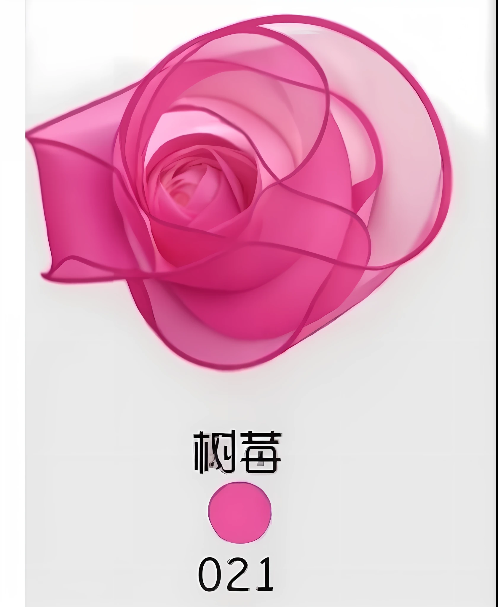 a close up of a pink flower with a white background, (pink colors), big ribbon, 中 元 节, pink rosa, melanchonic rose soft light, bowknot, 王琛, pink flower, ((pink)), giant rose flower head, wide ribbons, large rose flower head