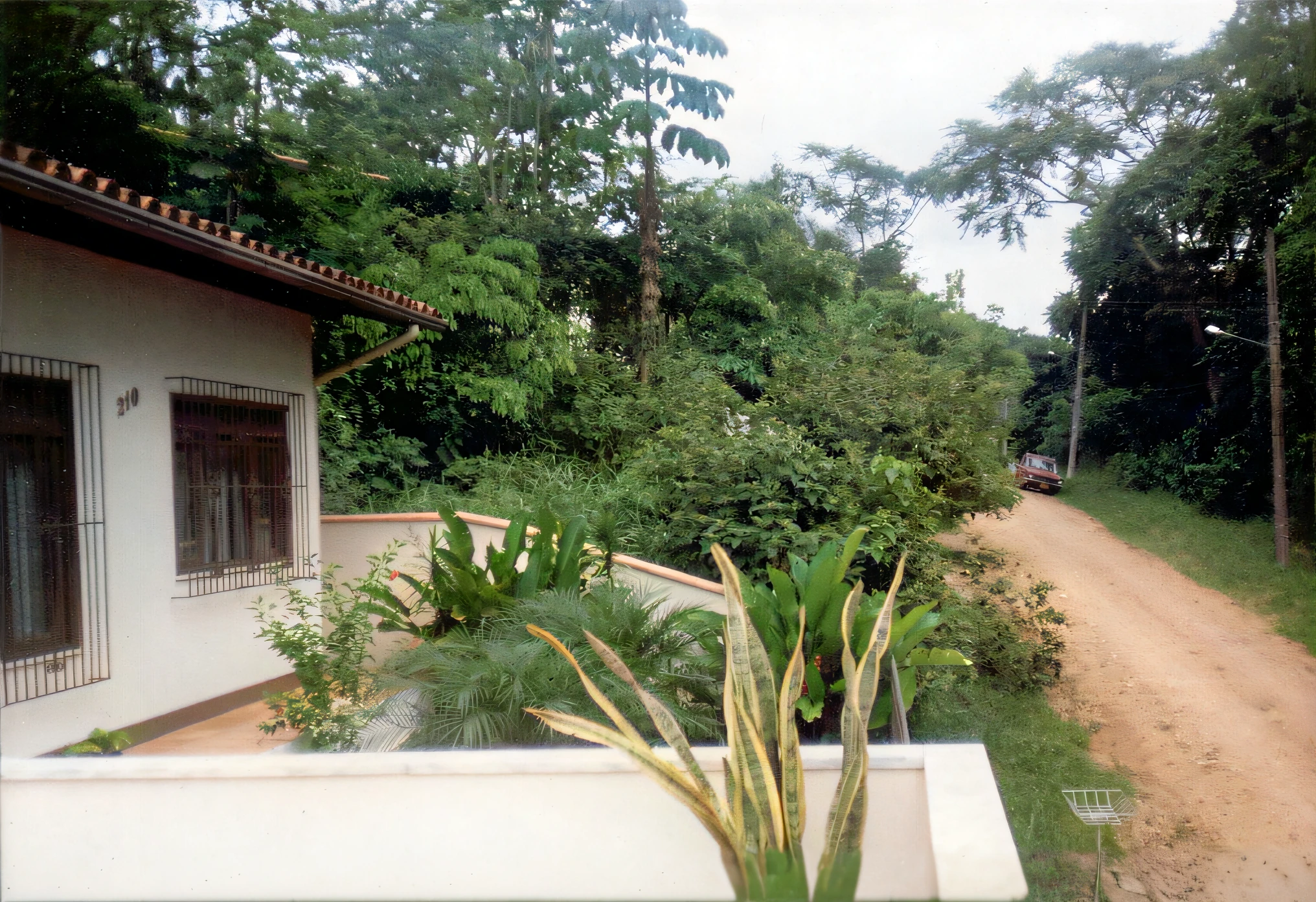 there is a dirt road that is next to a house, centre image, outside view, amidst of nature fully covered, colonial house in background, exterior view, with a garden, jungle in background, lush vegetation in the center, front side view, front-view, green terrace, front view 1 9 9 0, in the background is lush jungle, jungle setting