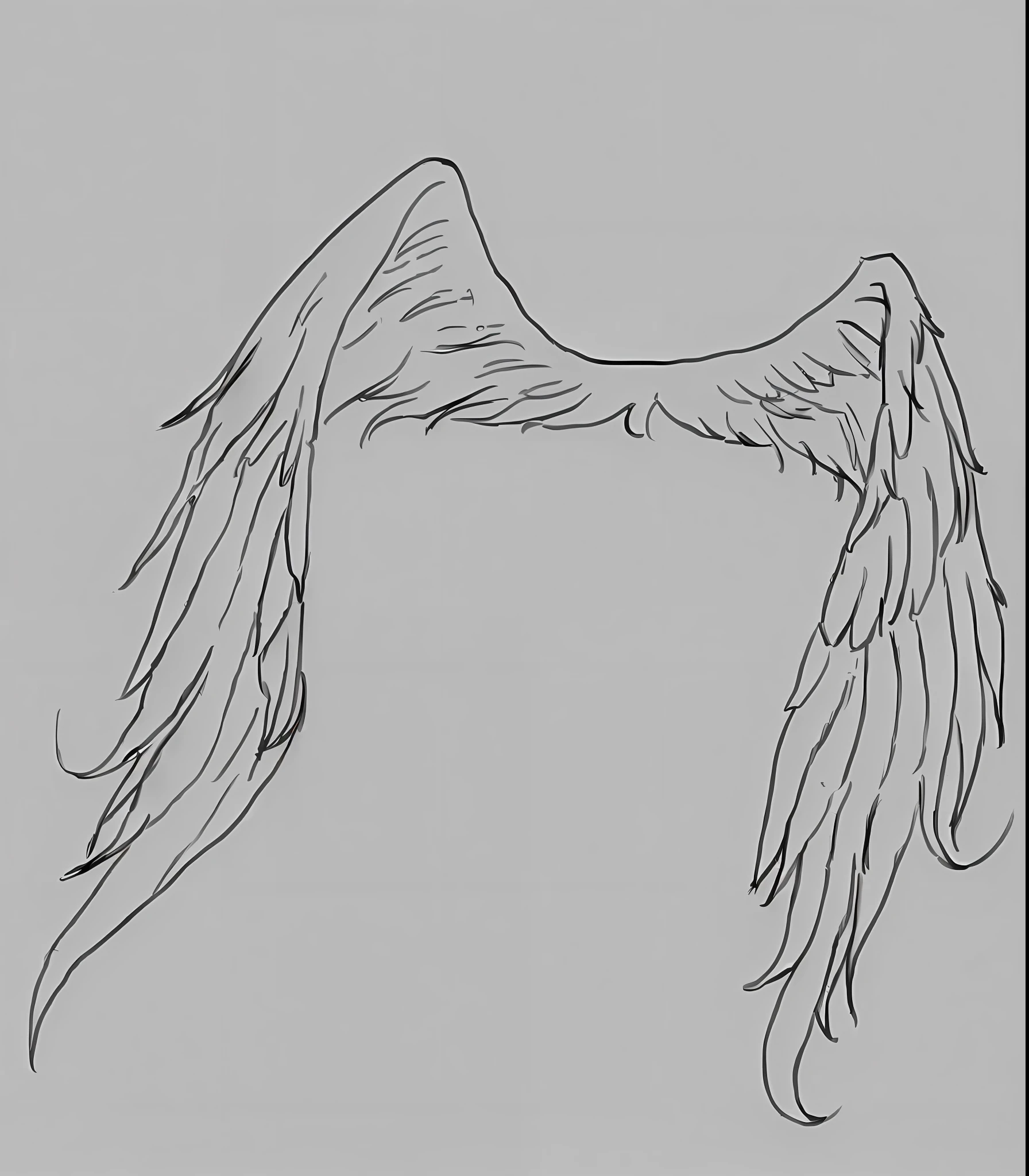 a drawing of a wing with a long tail and a long tail, simple lineart, feathery wings, detailed wings, symetrical wings, thick lineart, lineart, large wings, clean lineart, infinite angel wings, epic angel wings, thick black lineart, simple line art, black wings instead of arms, wispy gigantic wings
