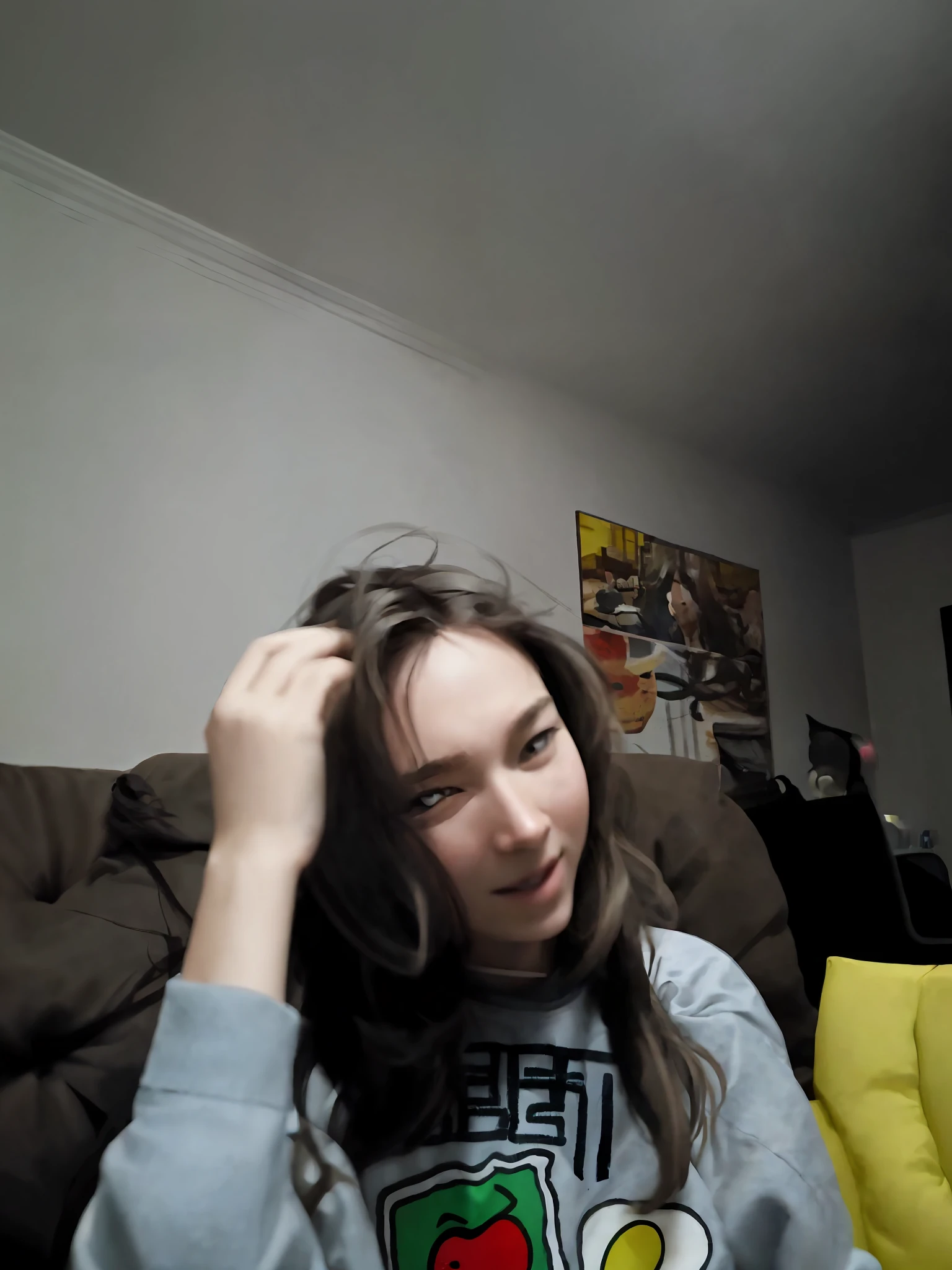 there is a girl sitting on a couch with her hair in the air, blurry image, webcam footage, webcam screenshot, blurry footage, not blurry, very very low quality picture, blurry photo, very blurry, winking at the camera, blurry face, very silly looking, looking to the side off camera, shot on webcam, low quality photograph, slightly blurry, blurry