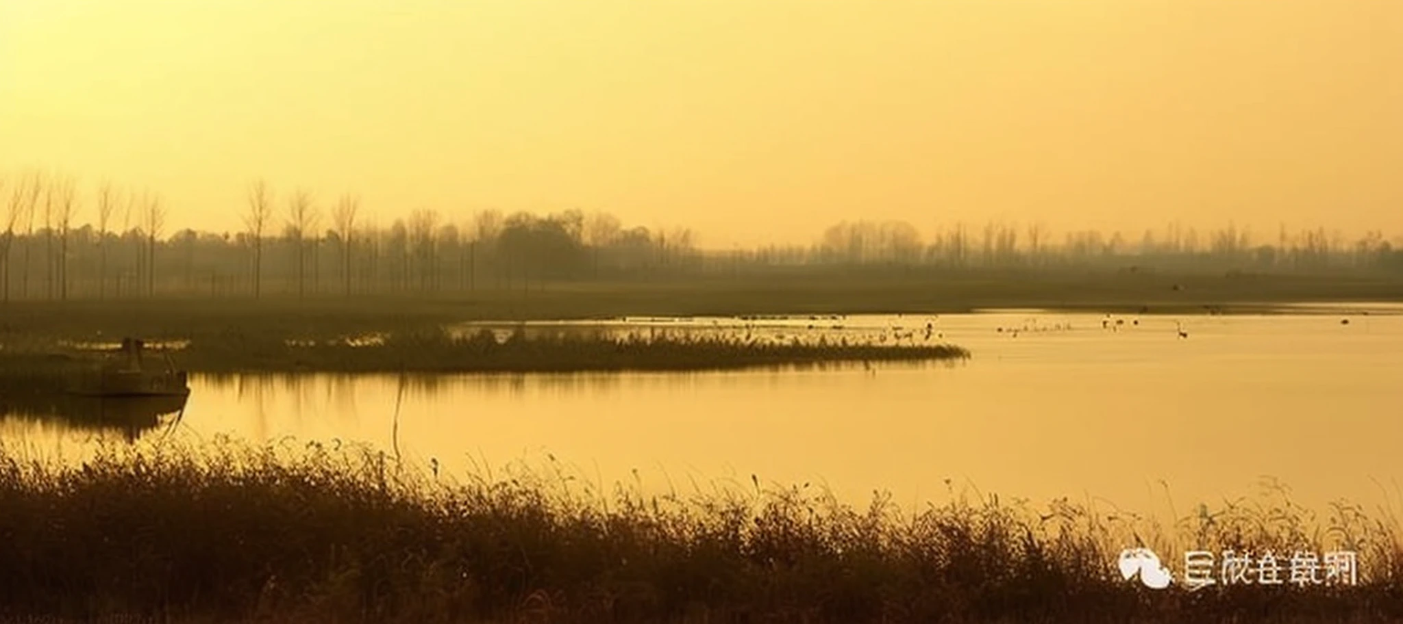 there is a boat that is sitting in the water at sunset, marsh, marshes, lake filed with molten gold, taken at golden hour, by Colijn de Coter, by Jan Tengnagel, by Gerard Houckgeest, lake, by Maria van Oosterwijk, at dusk at golden hour, floodplains, patches of yellow sky, morning golden hour --auto --s2