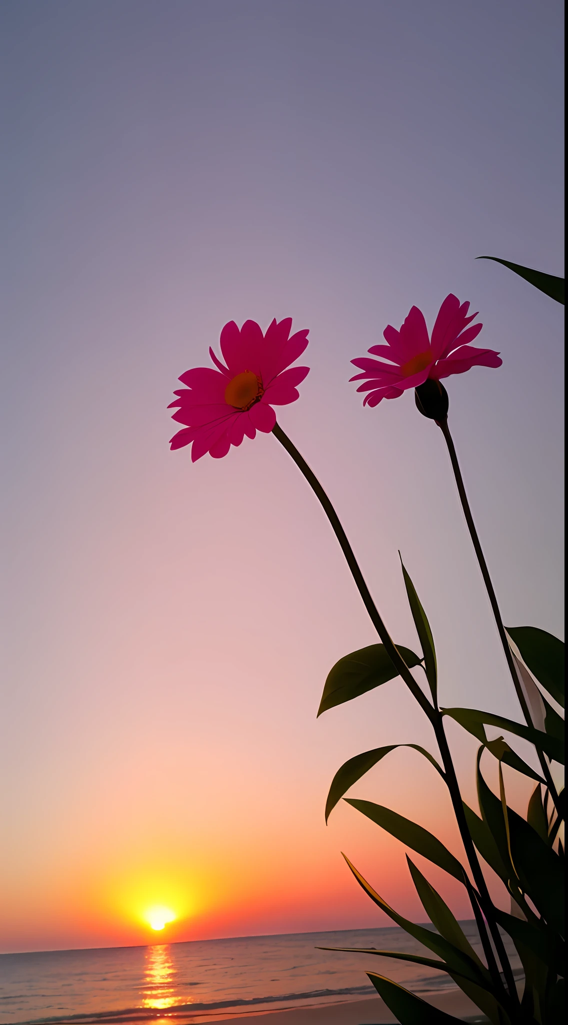 Close-up shot, a pink flower, the background is the beautiful sunset by the sea, real texture, warm sunset
