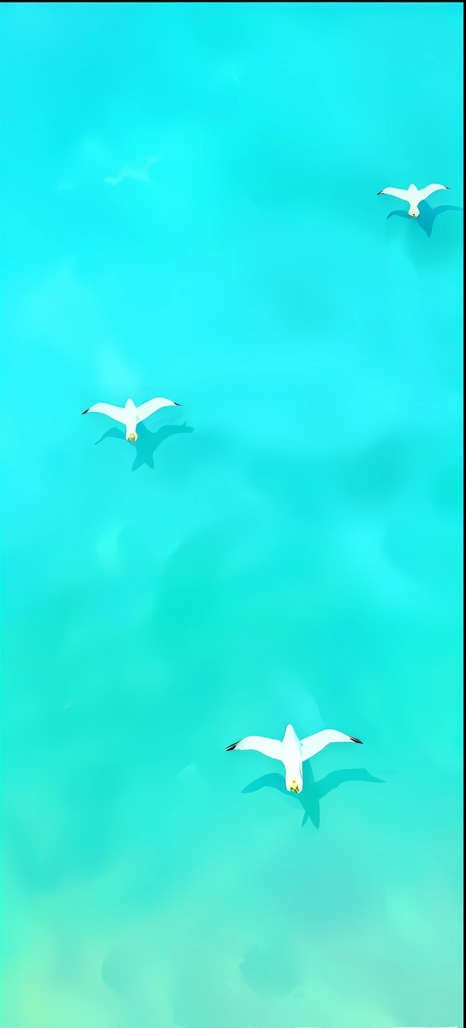 three birds flying over the ocean water in a blue sky, seagulls, swimming, in the ocean, in the sea, turquoise ocean, turquoise water, sea background, on the ocean water, flying over the ocean, iphone wallpaper, bird view, on the ocean, bird's view, watery, seagull, floating. greenish blue, sea, phone wallpaper