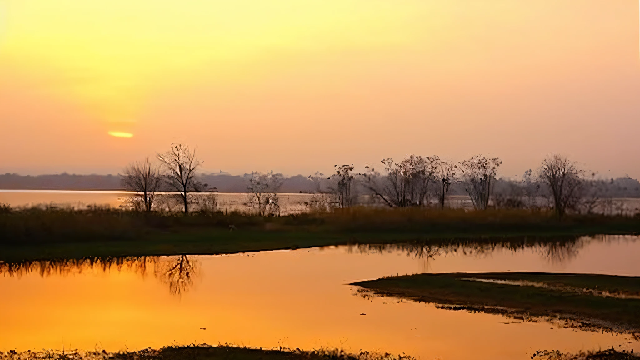 Sunset on the lake,There are a few trees and a few places of water, lake filed with molten gold, taken at golden hour, during golden hour, the glimmering orange dawn, sunset view, marsh, guwahati, very peaceful mood, at dusk at golden hour, marsh, in the early morning, at evening during rain, early morning, during a sunset --auto --s2