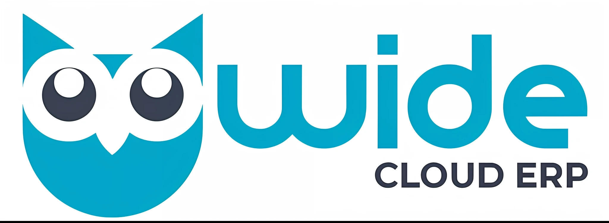 the logo for the company erp cloud, cwc, header with logo, logo, logo, clean logo, craig wylie, wiwek, wide image, wide screenshot, profile picture, full width, logo", promotional image, wide shot, company logo, ad image, lucid, screenshot, logo without text, banner, dj, clean image, owo, on computer screens,  realistic, integration, restaurants, clinics and companies