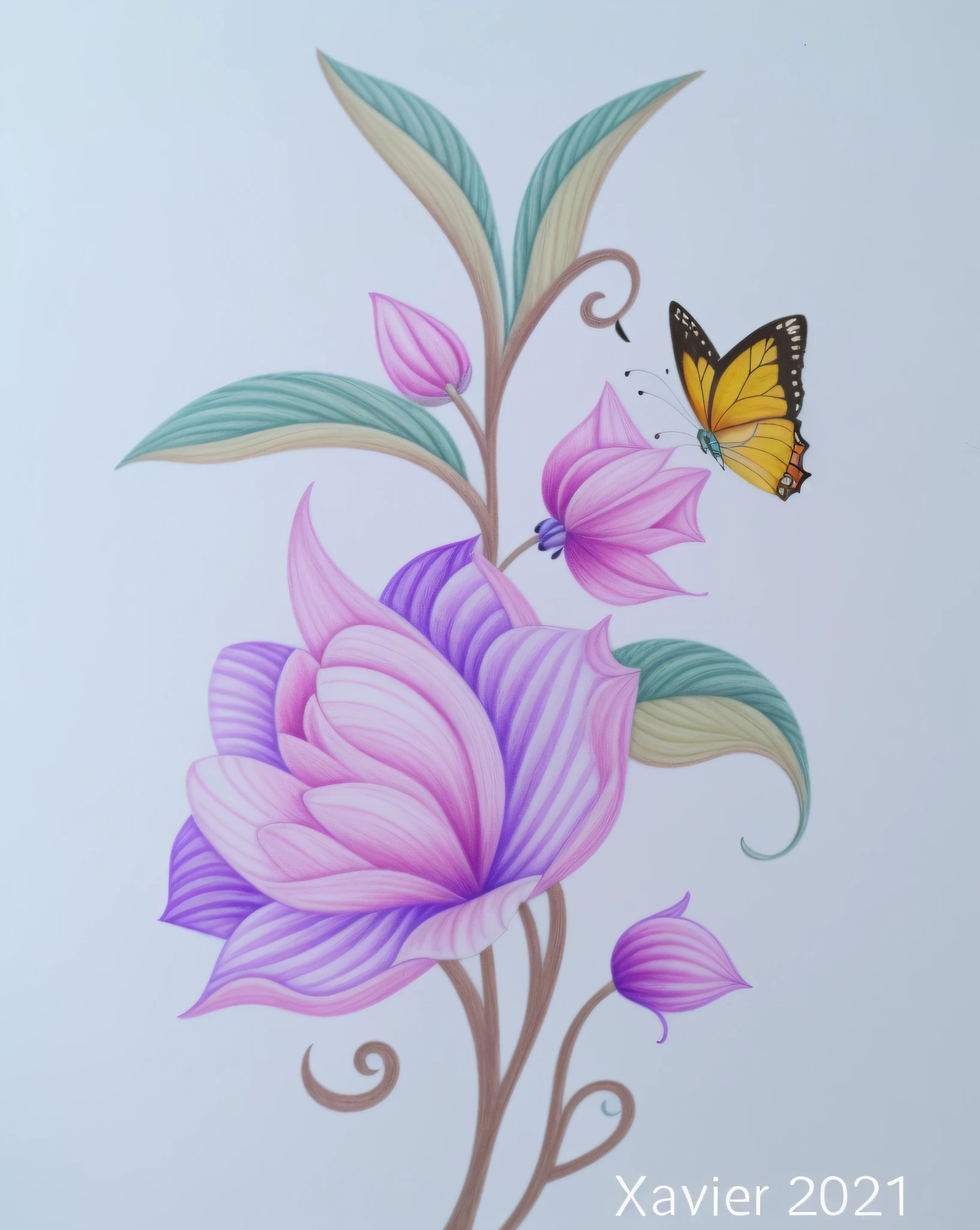 there is a drawing of a flower with a butterfly on it, colored pencil art on paper, drawn with colored pencils, inspired by Maria Sibylla Merian, detailed coloured pencil, colored pencil illustration, colored pencil on paper, medium: colored pencil, pastel coloring, full color drawing, painted with pastels, flowers and butterflies, colored pencil, coloured pencil, colored pencil drawing
