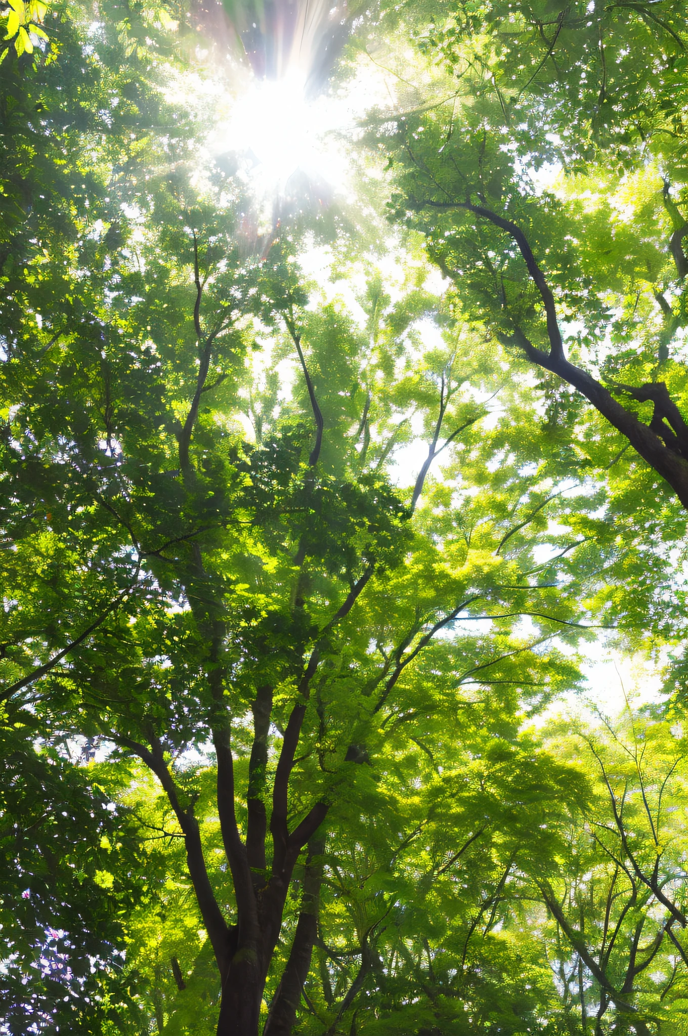 sunlight shining through the trees in a forest with green leaves, green trees, green forest, nature trees, sun - rays through canopy, sunny environment, japan lush forest, sun filtering through trees, big green trees, green flora forest, forest trees, lush trees, bright forest, trees with lots of leaves, sun shining through the leaves, royal green and nature light, canopy