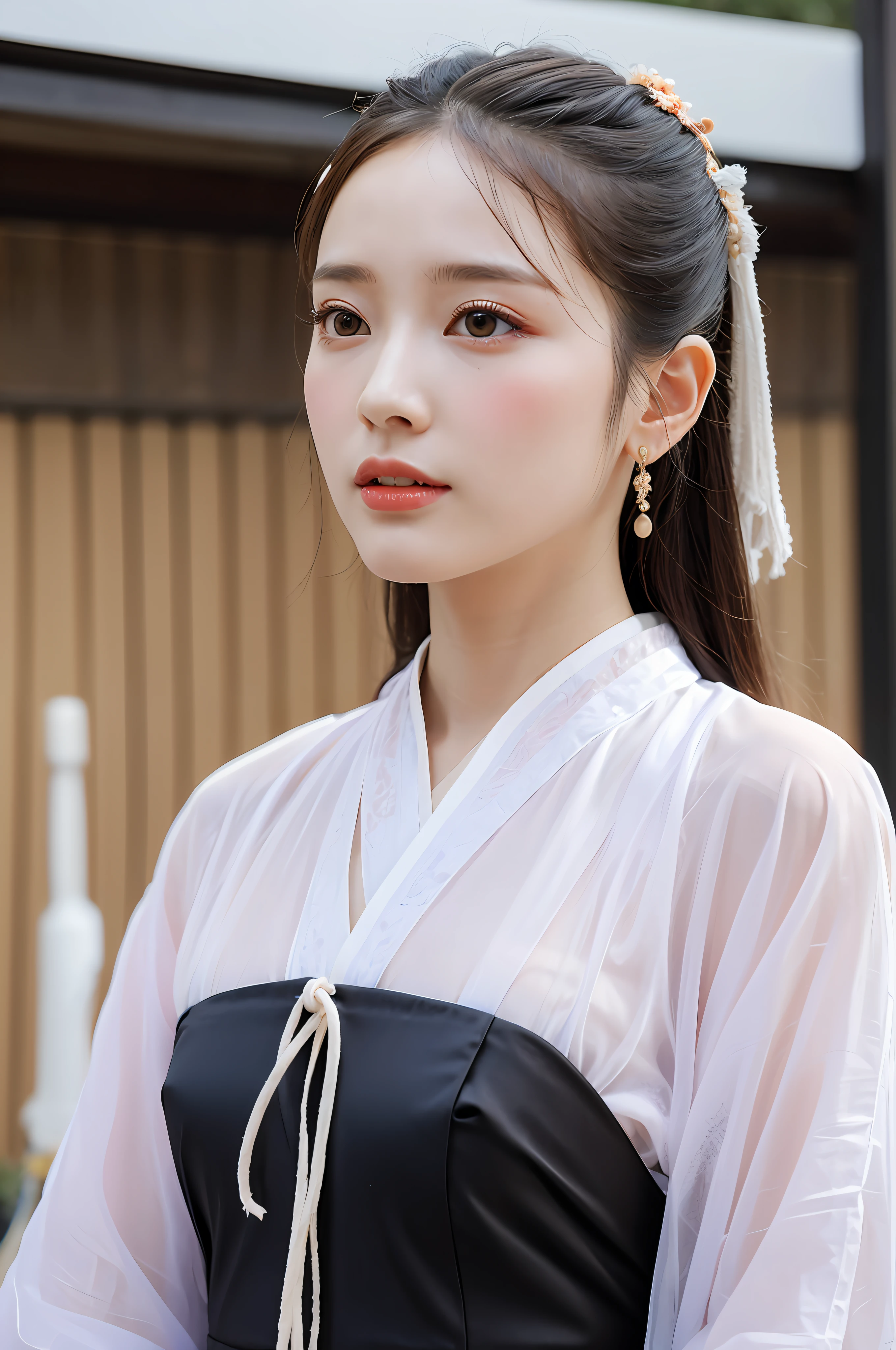 Transparent Hanfu