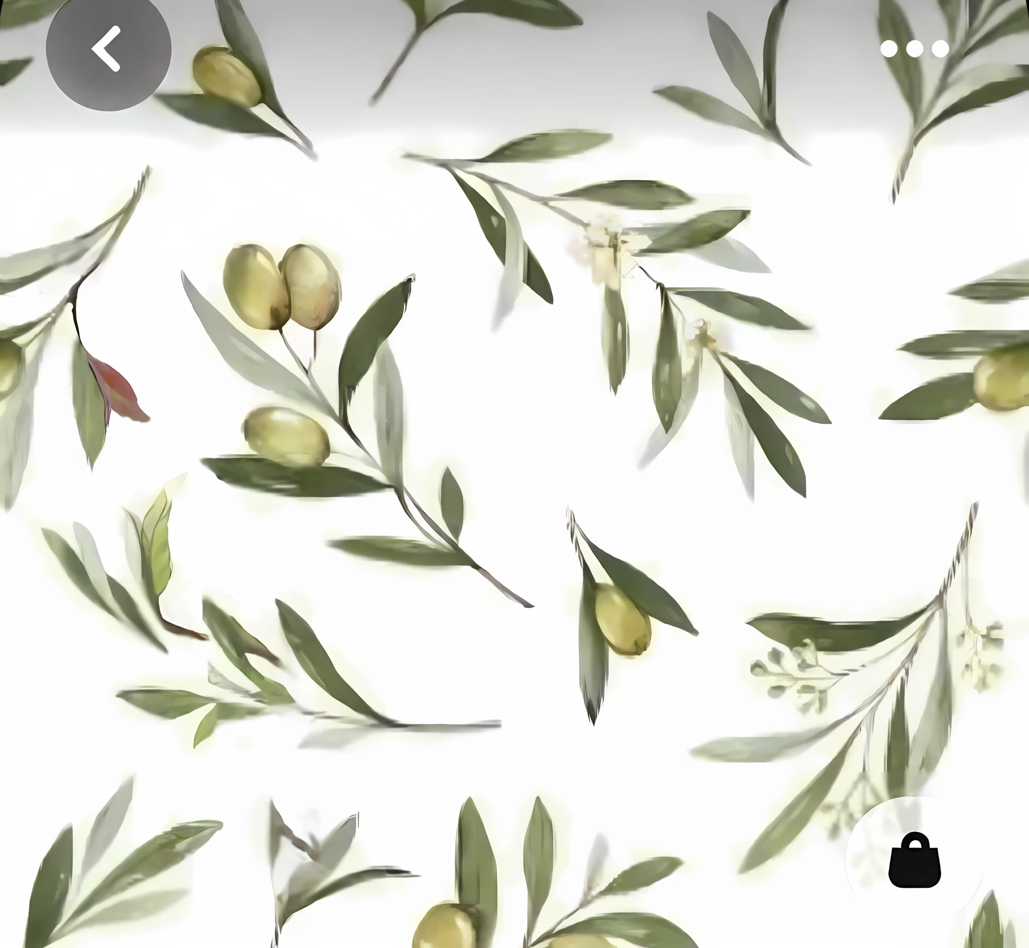 Create a similar pattern with olive branches and branches