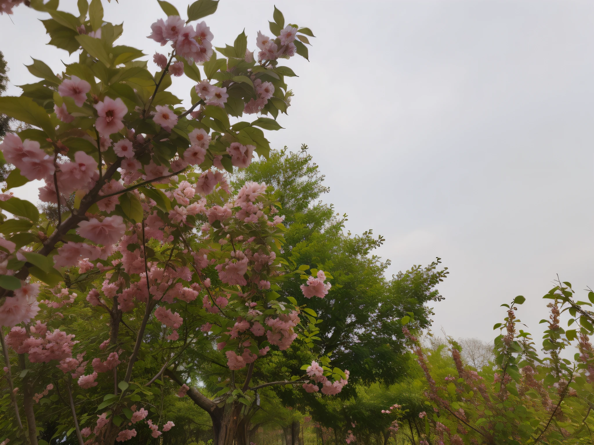 Flower tree --auto --s2