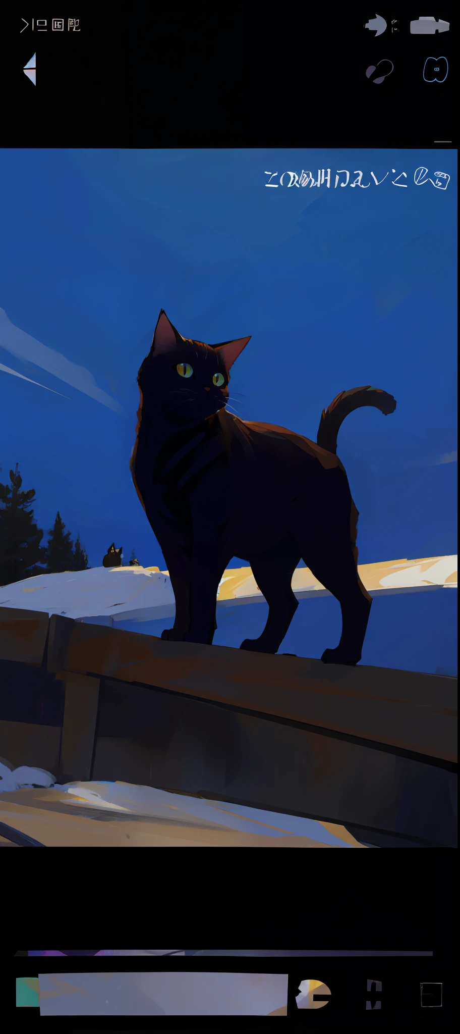 cat cat
