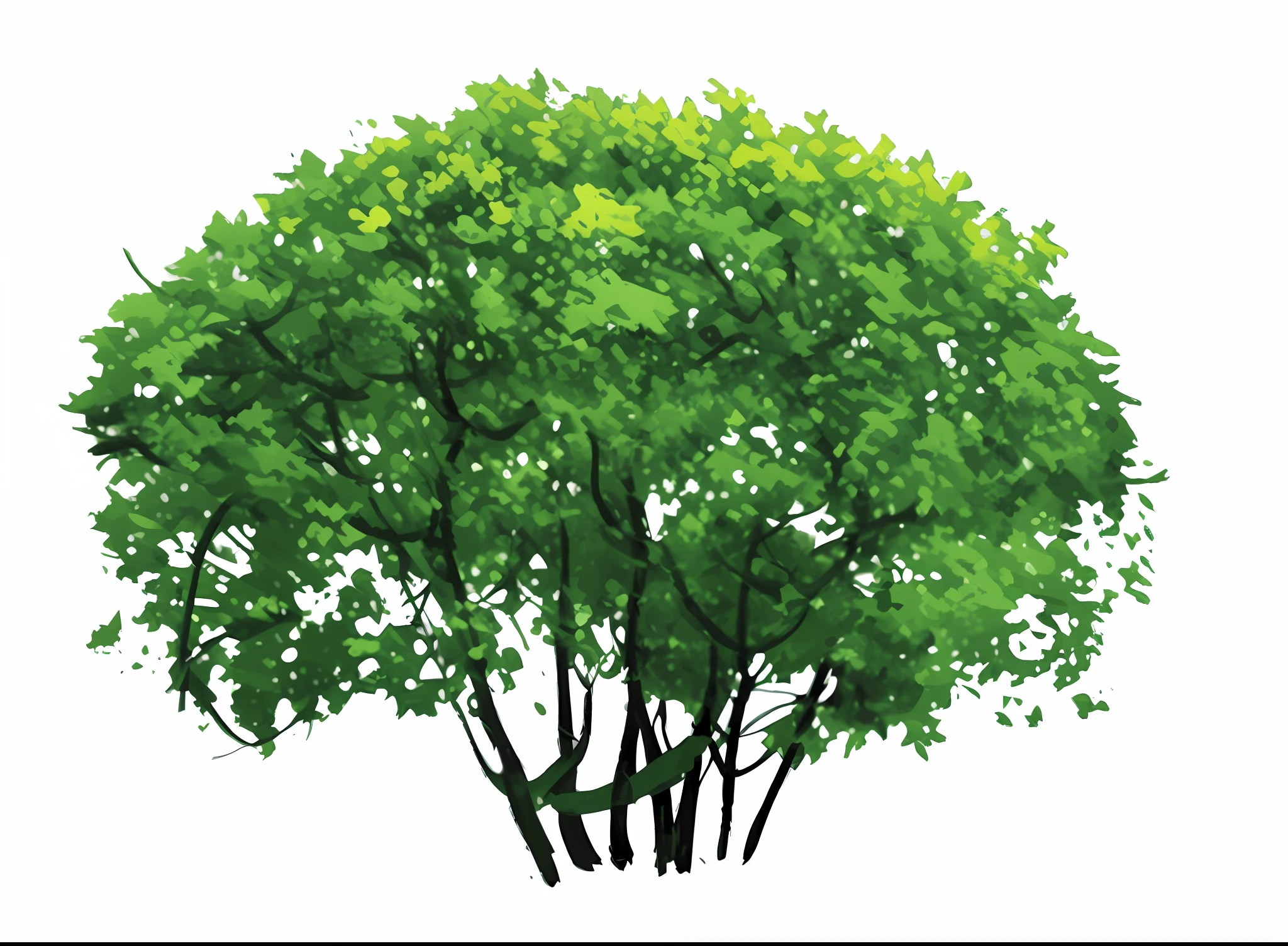 Milan tree, a tree, hand drawn, illustrator