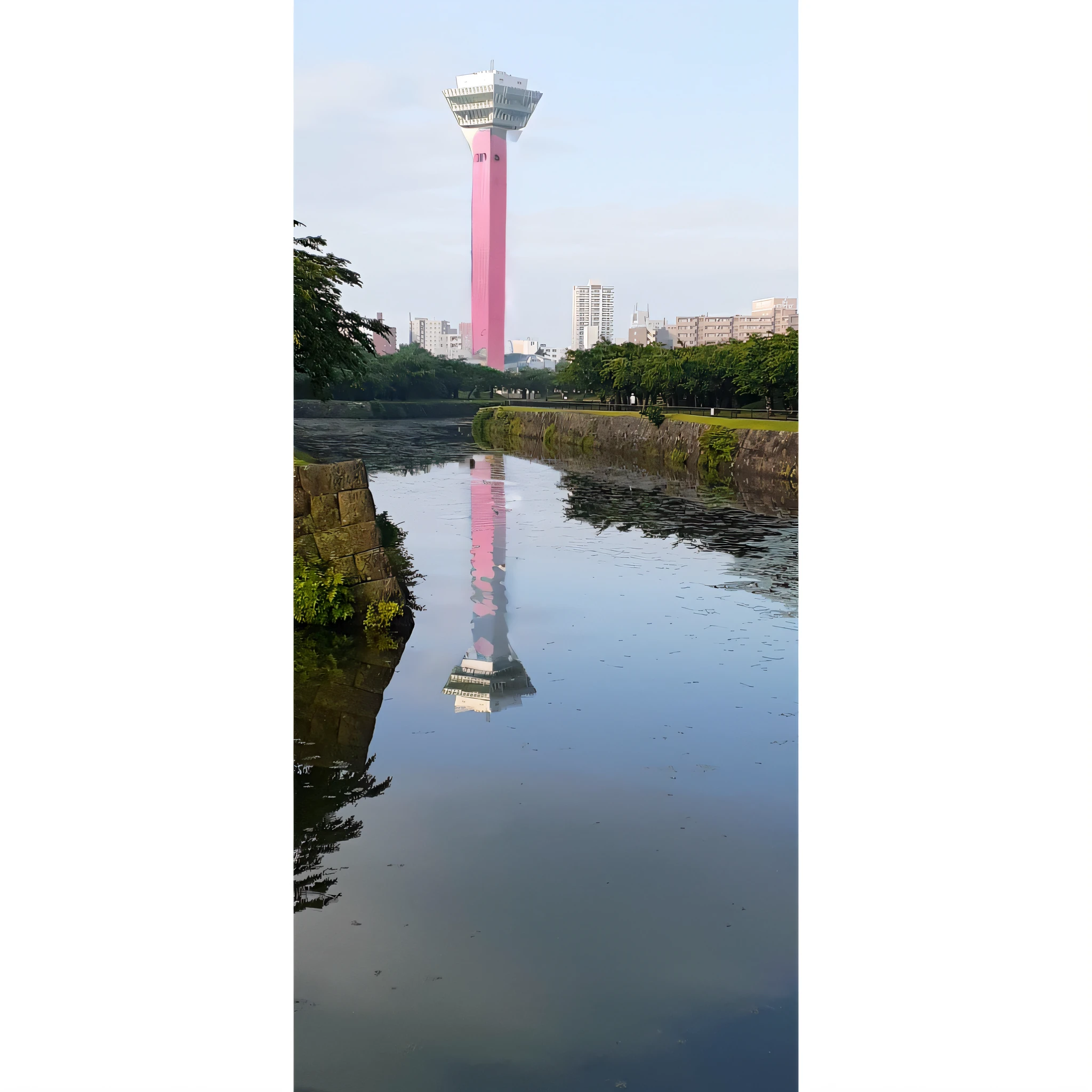pink colors