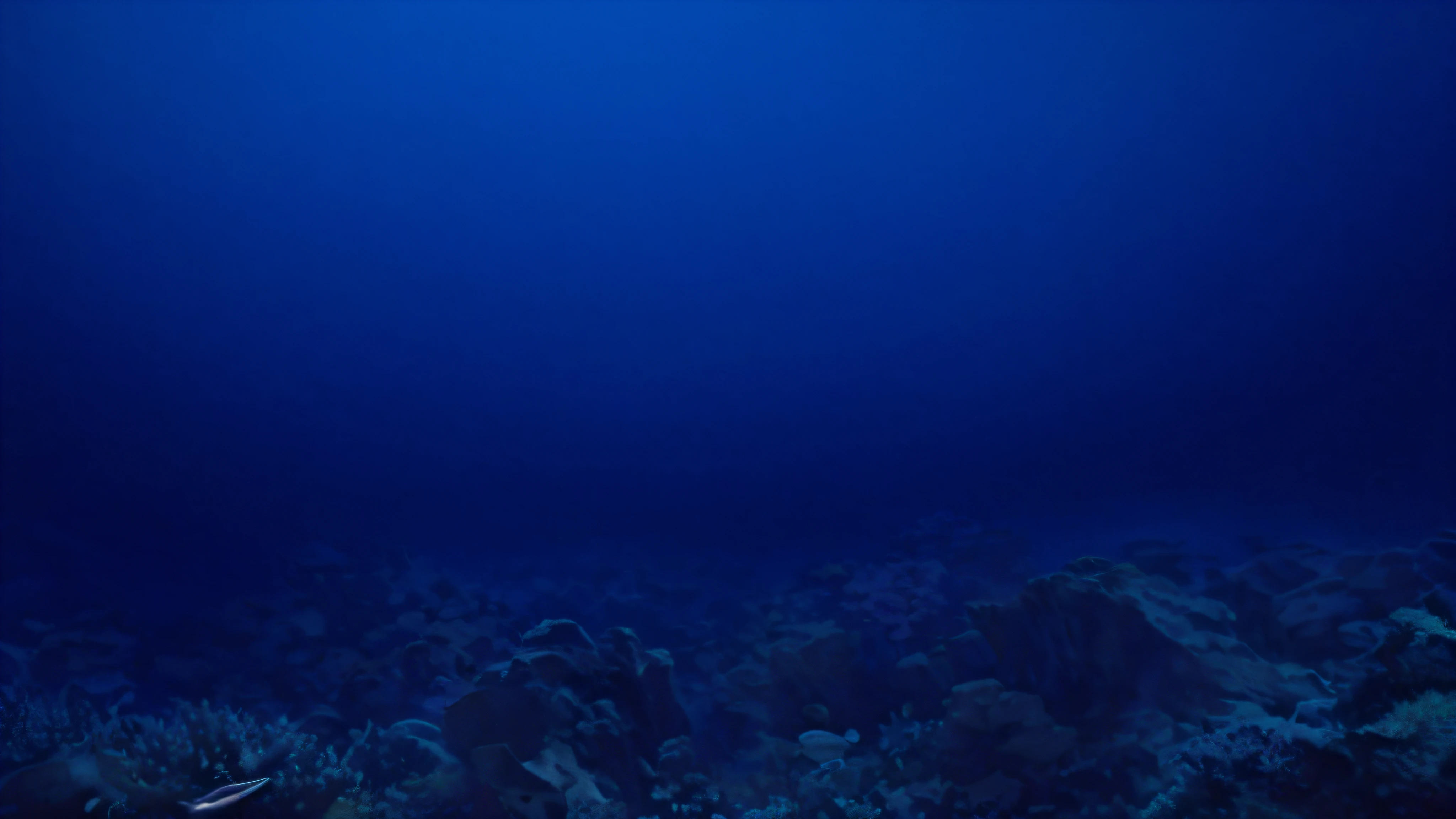 There are a large number of reefs, underwater landscapes, underwater oceans, reef seabeds, underwater landscapes, underwater floating in the sea, underwater scenes, standing on the bottom of the sea, under the sea, elegant coral seabed, seabed, underwater scenery, no animals, no plants, no people, no fish