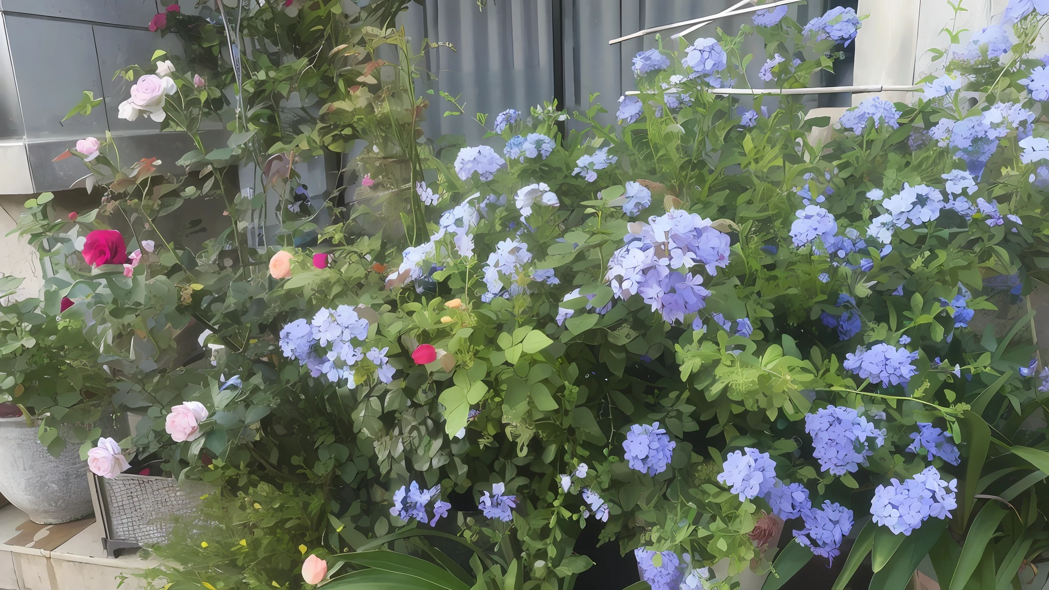 There are many different types of roses in the garden, blue flowers blooming, incredibly beautiful, blue and purple plants, blue flowers, vibrant but dull blue, pastel bushes, blue and green tones, more and more flowers, indigo blooming flowers garden, lots of flowers, blue borders, a lot of plants and flowers, beautiful images