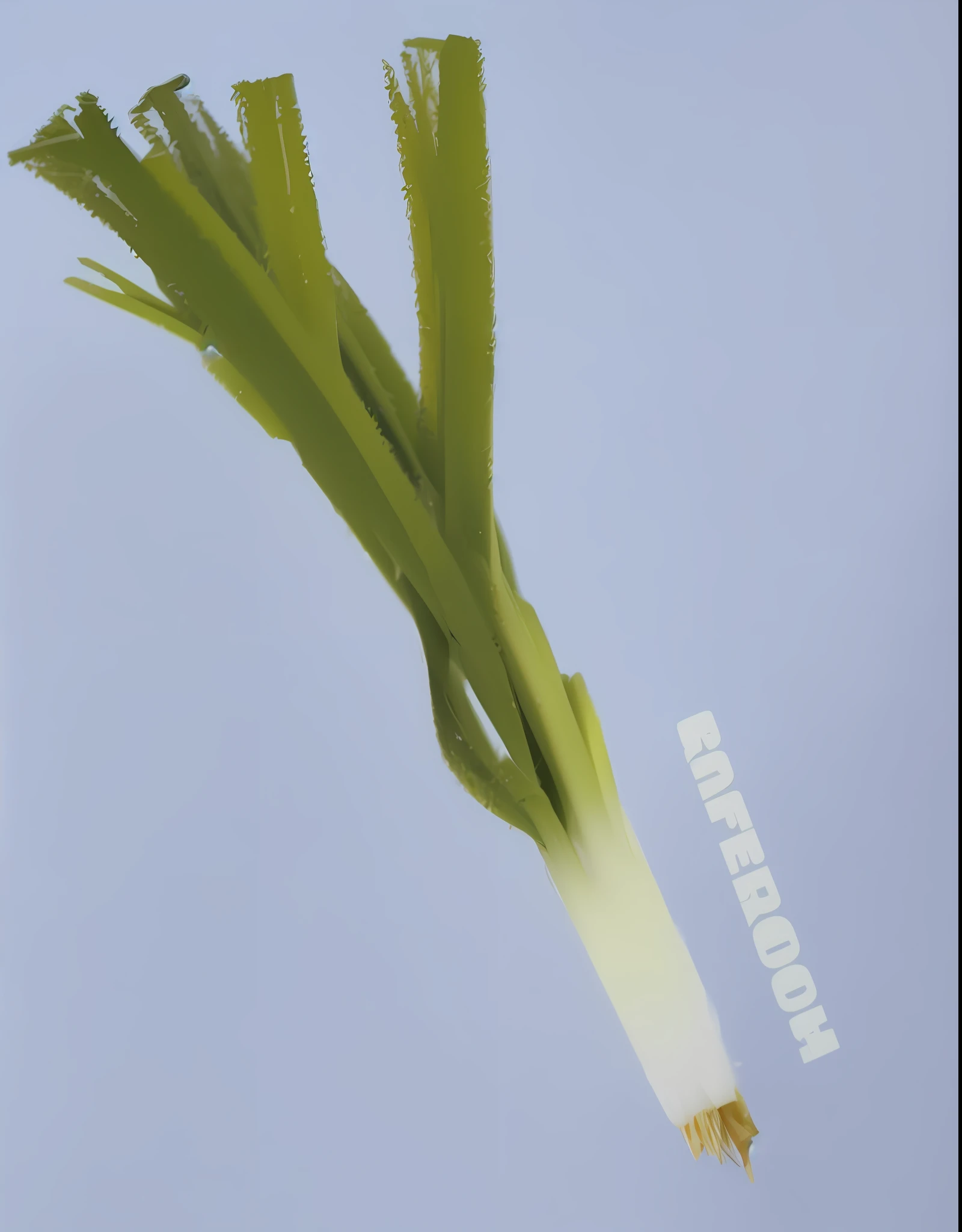 a close up of a bunch of green onions on a blue shirt, surrounding onions, trending on r/streetwear, graphic detail, medium close-up, medium close - up, close-up product photo, medium close up, close-up view, close - up view, close up portrait shot, screen printed, ramps, detail shot, high angle close up shot