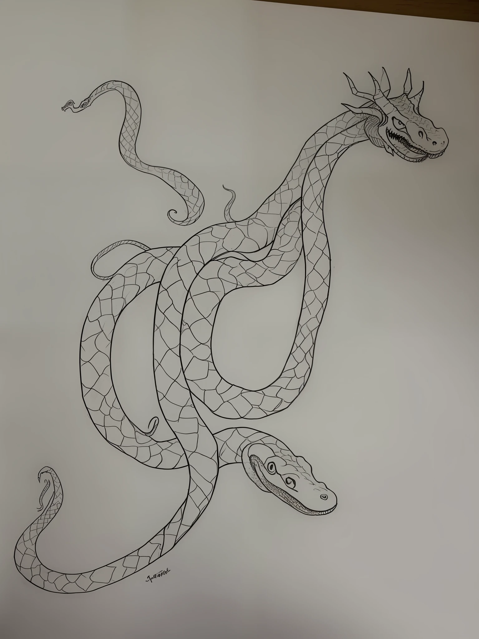 a close up of a drawing of a snake on a piece of paper, snake art, curved horned dragon!, drawn on white parchment paper, big long hell serpent octopus, serpent body, lower half of his body is snake, ink outline, snake body, giant snake, big snake, snake body. many large, outline drawing, serpent, dragon with scars