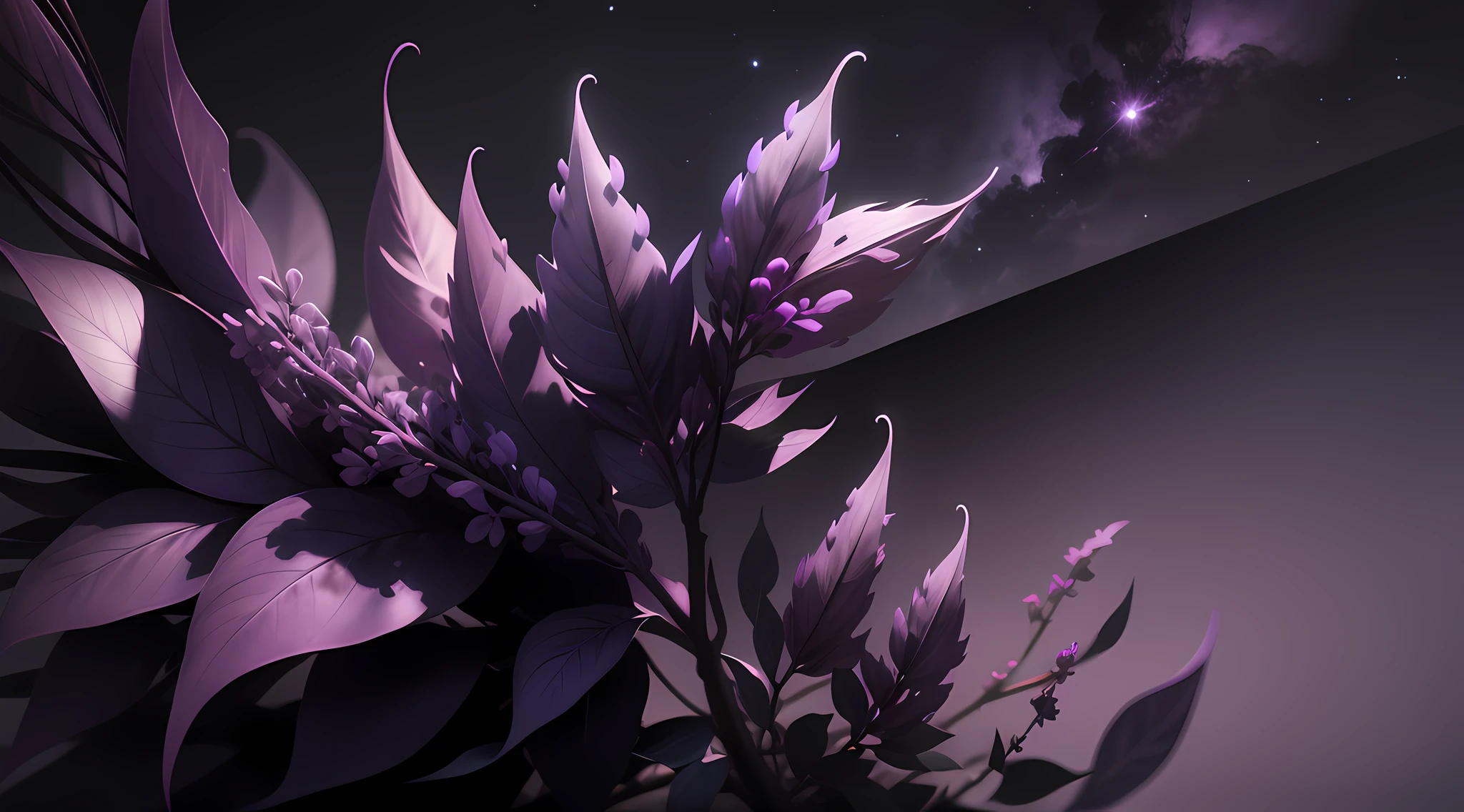 Lilac and black background, lilac and black banner, image background.
