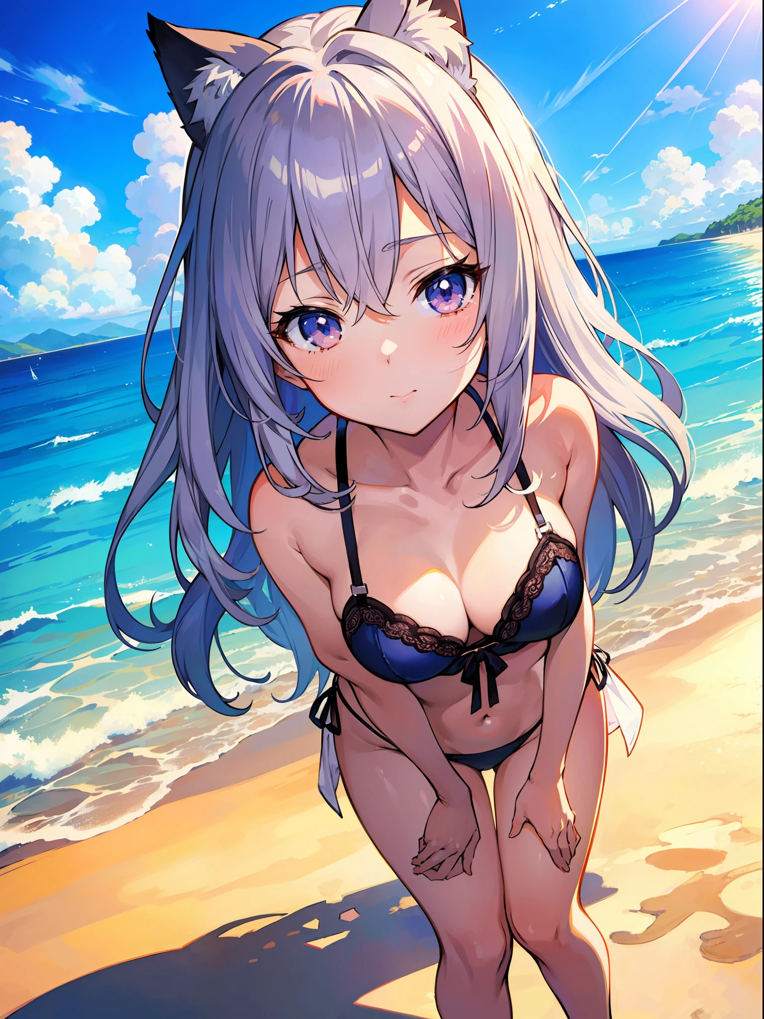 (Masterpiece), (Best Definition Anime Illustration), (Super Definition), One Girl, Solo, Silver-haired Beautiful Girl, Anime , Cat Ear Lolixy Lingerie, Sexy Pose, Beach