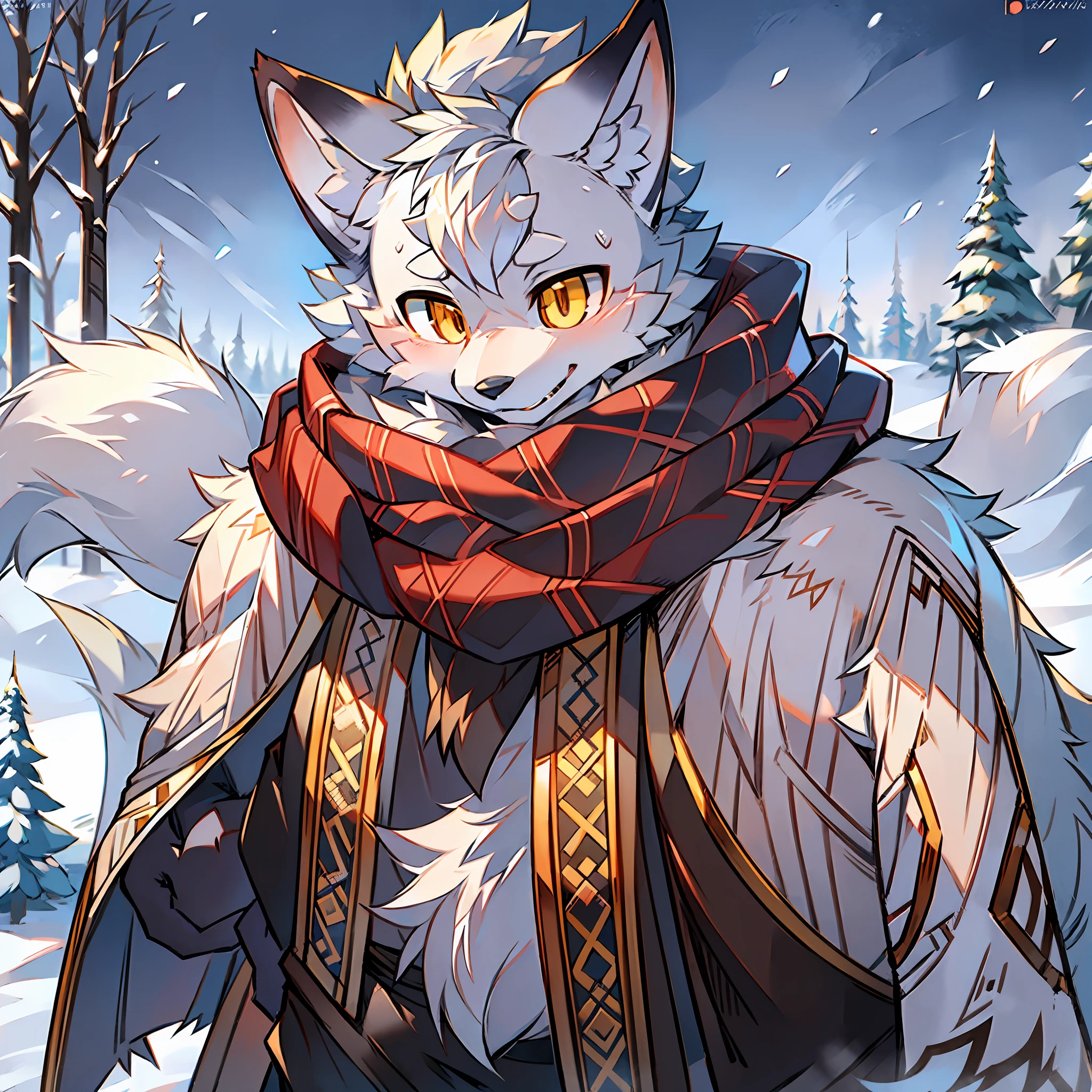 Single, furry male, furry, fox, arctic fox, canine, gray fur, golden eyes, thick clothes, scarf, standing in the snow, detailed background