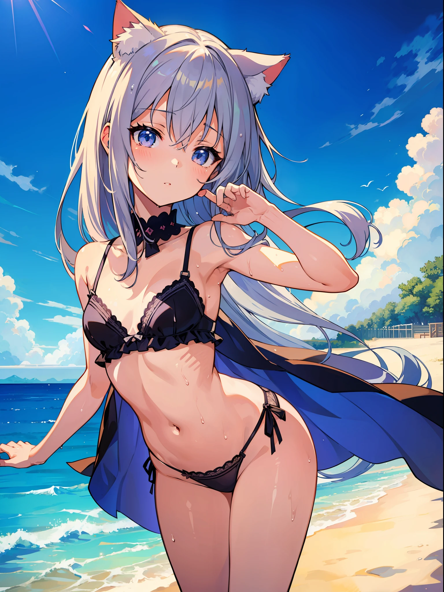 (Masterpiece), (Best Definition Anime Illustration), (Super Definition), One Girl, Solo, Silver-haired Beautiful Girl, Anime , Cat Ear Loliall Area Sexy Lingerie, Sexy Pose, Wet Sheer, Beach