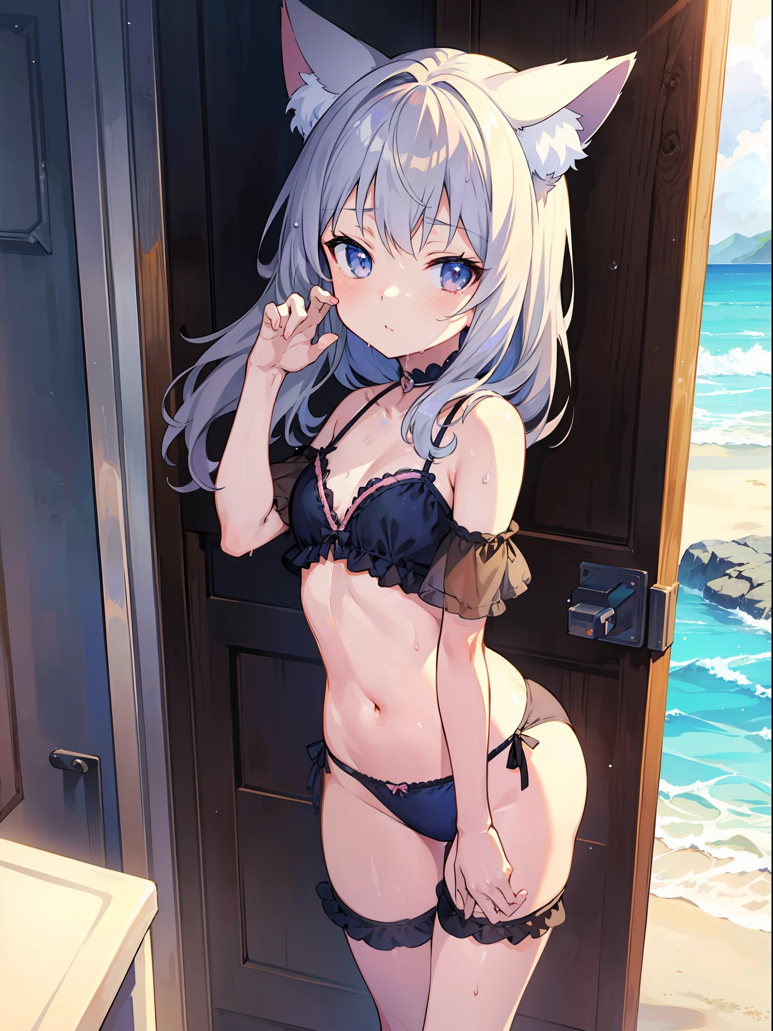 (Masterpiece), (Best Definition Anime Illustration), (Super Definition), One Girl, Solo, Silver-haired Beautiful Girl, Anime , Cat Ear Loliall Area Sexy Lingerie, Sexy Pose, Wet Sheer, Beach