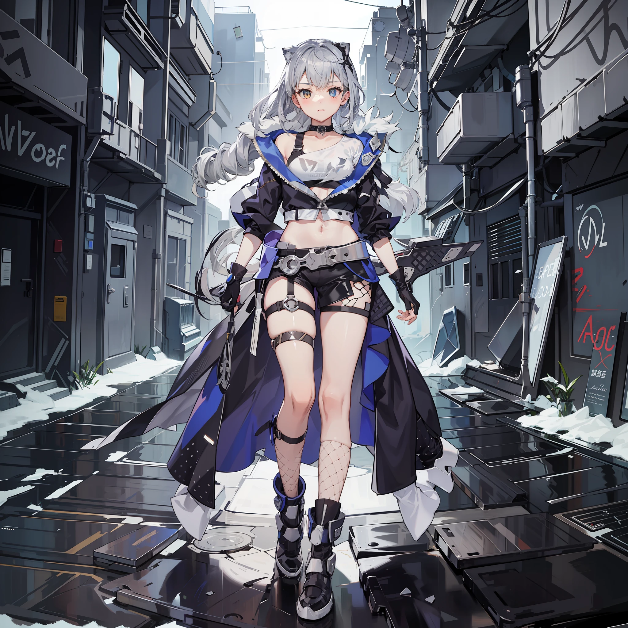 Silver Wolf, 1girl, full body picture