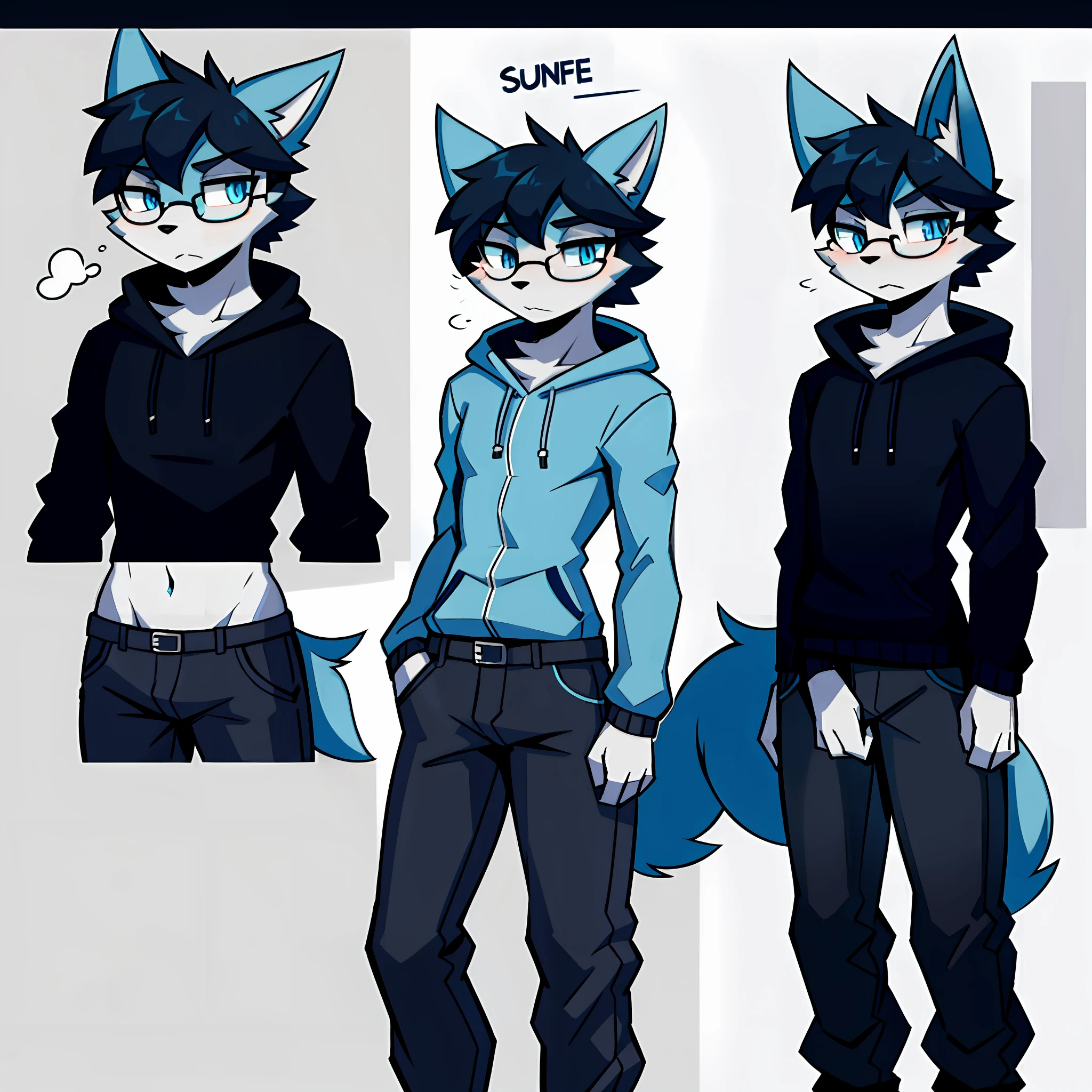 Solo, shaggy, furry male, minor, full body fur, gray-blue fur, gray-blue sweatshirt, gray-black trousers, black hair, black glasses, blue eyes, small canine, fluffy blue tail, male, serious, short hair, reference sheet