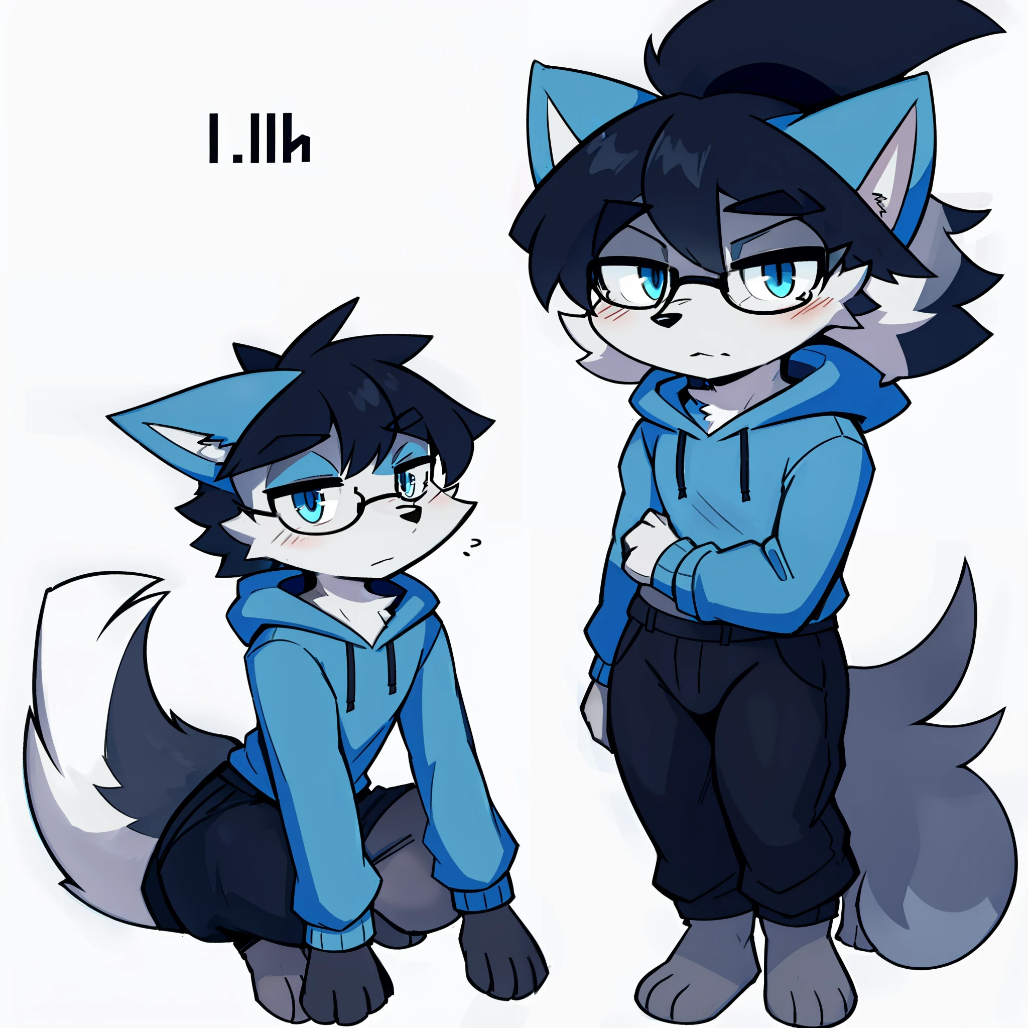 Solo, shaggy, furry male, minor, full body fur, gray-blue fur, gray-blue sweatshirt, gray-black trousers, black hair, black glasses, blue eyes, small canine, fluffy blue tail, male, serious, short hair, reference sheet