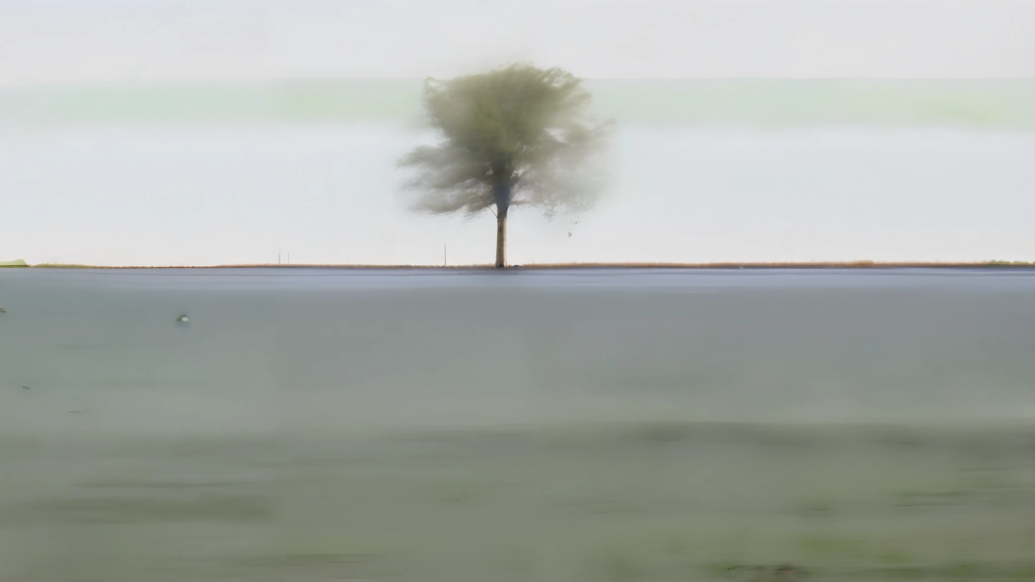 The ground is meadow, the river is in the distance, there is a tree in the meadow, vista, symmetrical composition, high quality, cinematic, foggy days