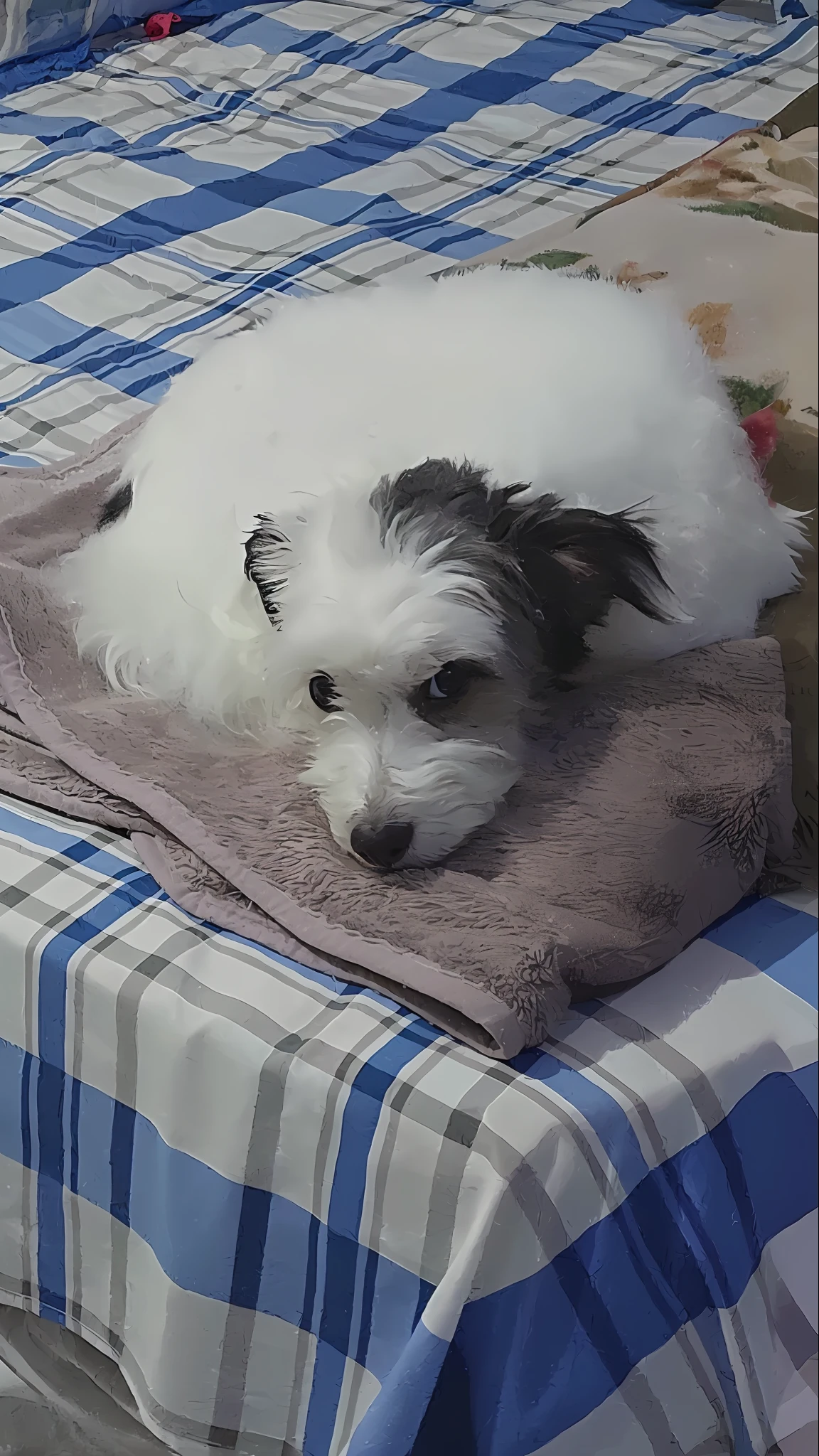 there is a small white dog laying on a blanket on a bed, small white dog at her side, olhar desleixado, deitado em um cobertor felpudo, ela tem os olhos cansados, resting on a tough day, sentada em sua cama, deitado na cama, parecendo cansado, sentado na cama, com olhos bonitos, he is very relaxed