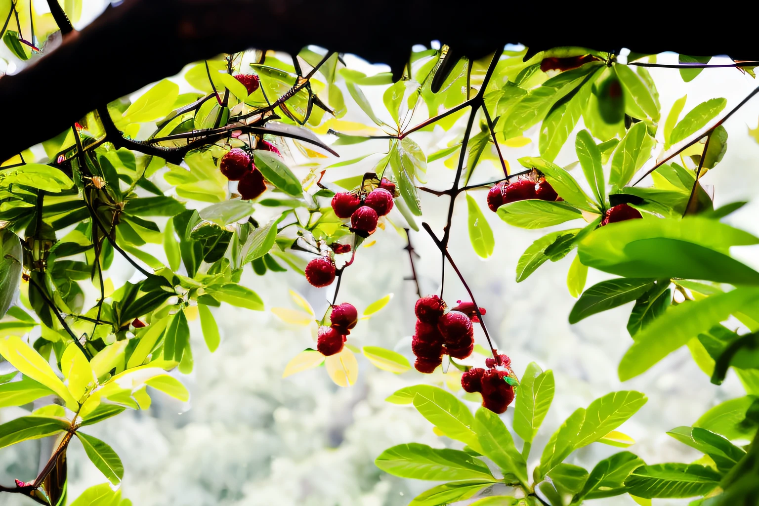 Many purple-red bayberries hang from the branches,Neon lights all around,With a cyberpunk twist, --auto