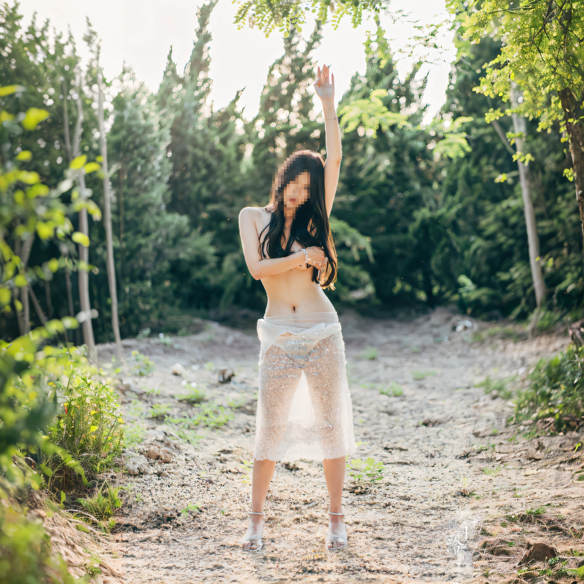 woods