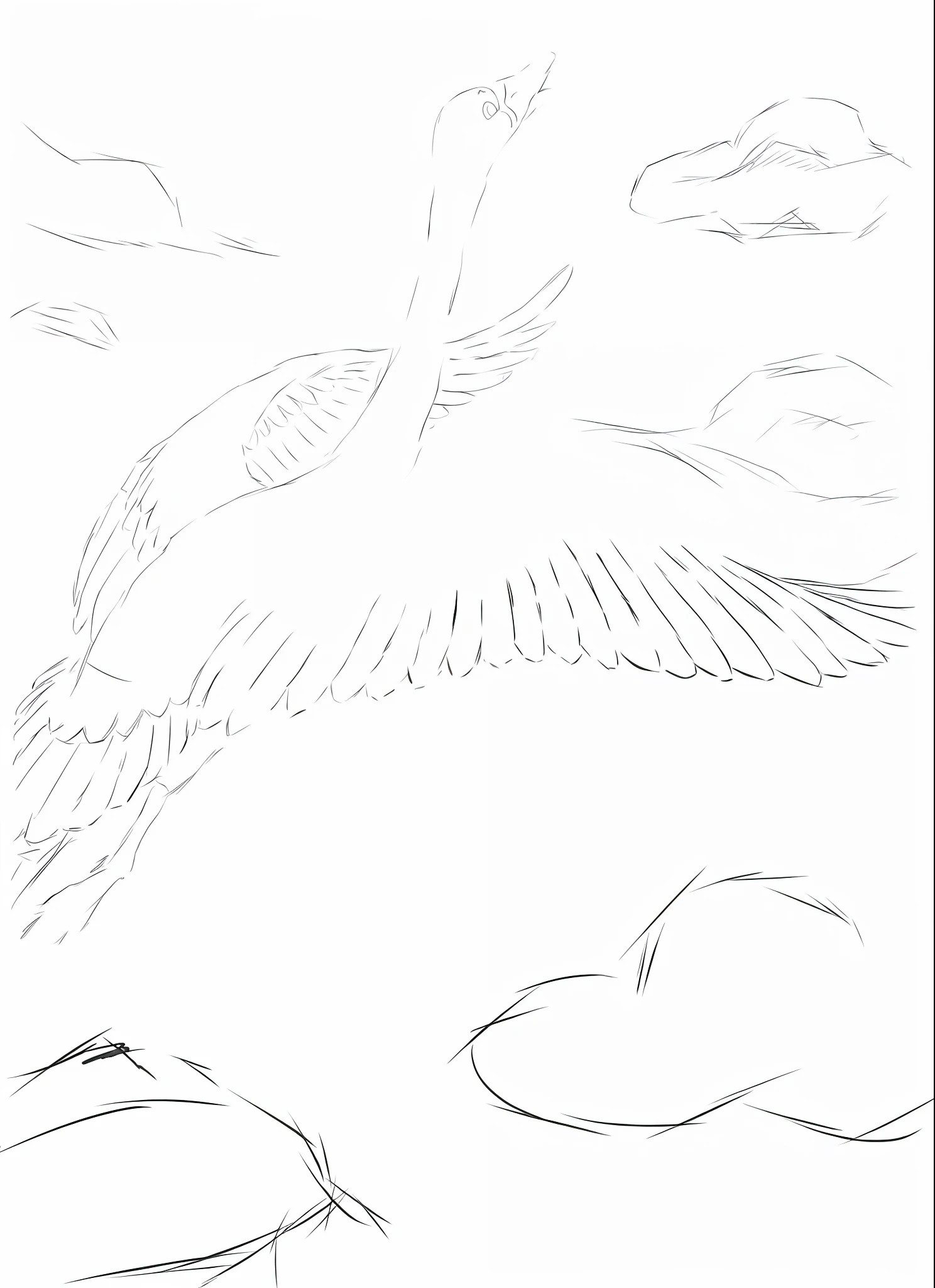 a drawing of a bird flying over a body of water, detailed but rough, outline sketch, accurately drawn details, dragon flying in the background, inspired by Sugimura Jihei, simple lineart, outline drawing, line sketch, clean anime outlines, rough sketch, with wings. ultra-detailed, japanese crane bird in center, smooth drawing, top down drawing